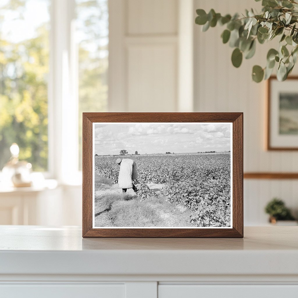 Migratory Cotton Pickers San Joaquin Valley 1938 - Available at KNOWOL