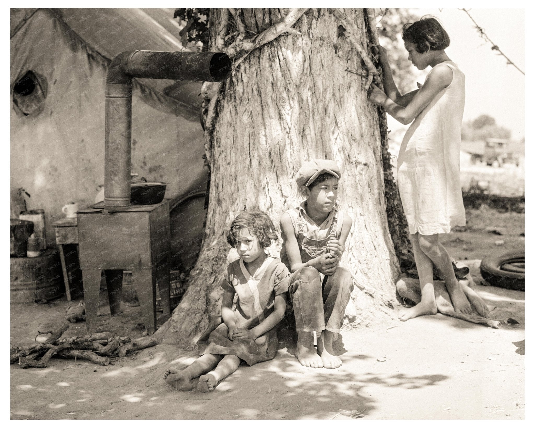 Motherless Migrant Children Cotton Picking California June 1935 Vintage Photo - Available at KNOWOL