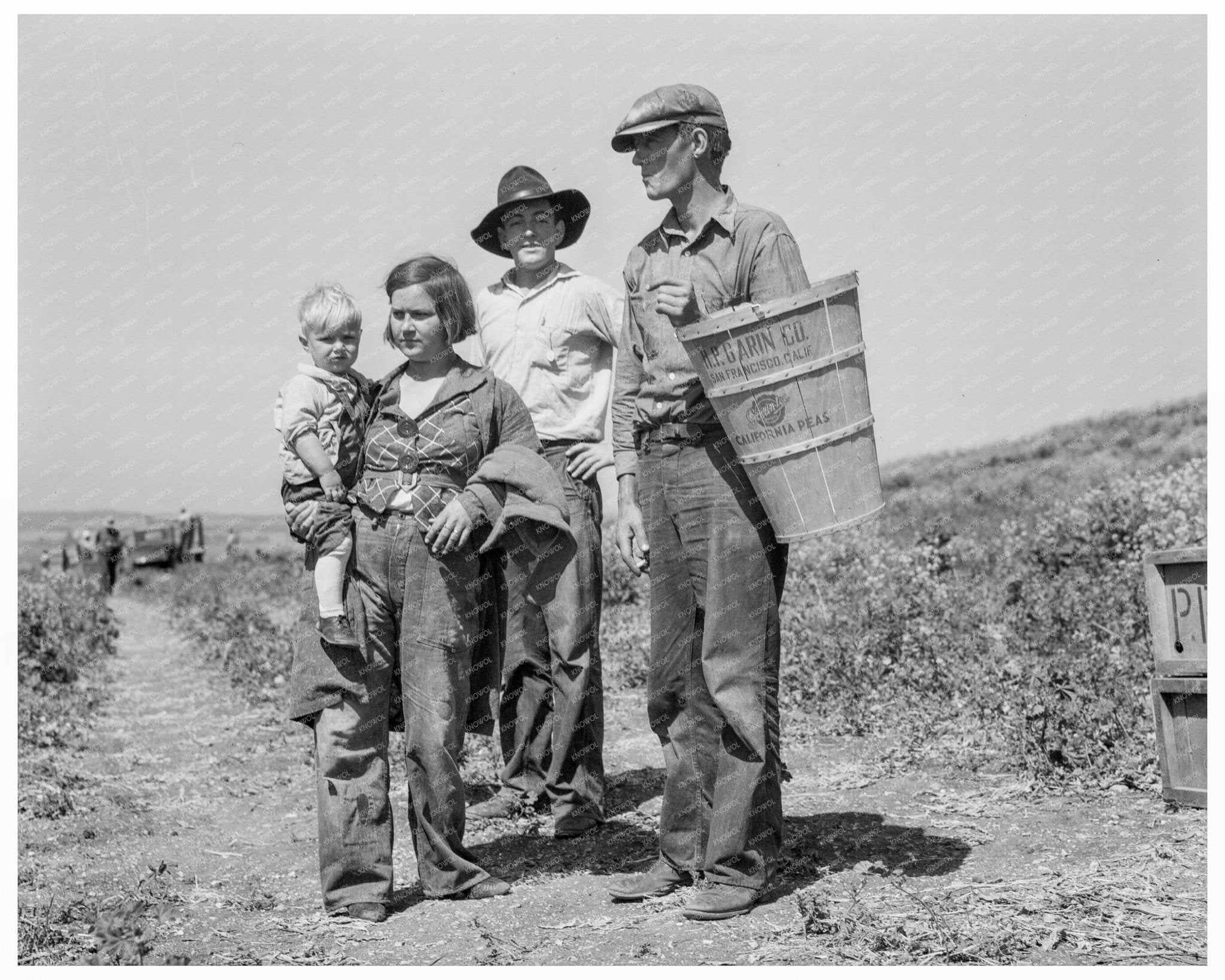 Oklahoma Drought Refugees in California Pea Fields 1937 - Available at KNOWOL