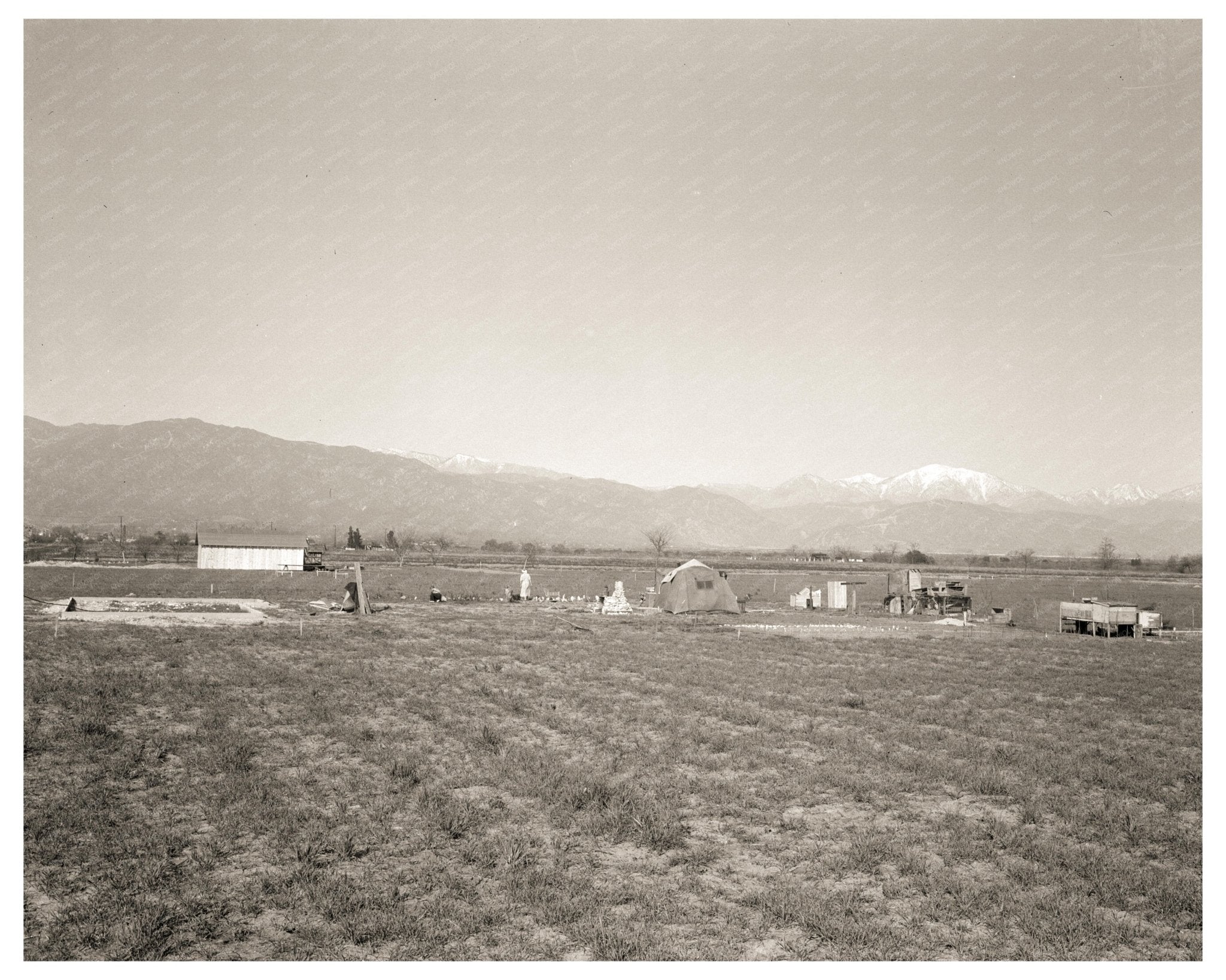 Oklahoma Migrants Seeking Opportunities in California 1936 Vintage Image - Available at KNOWOL