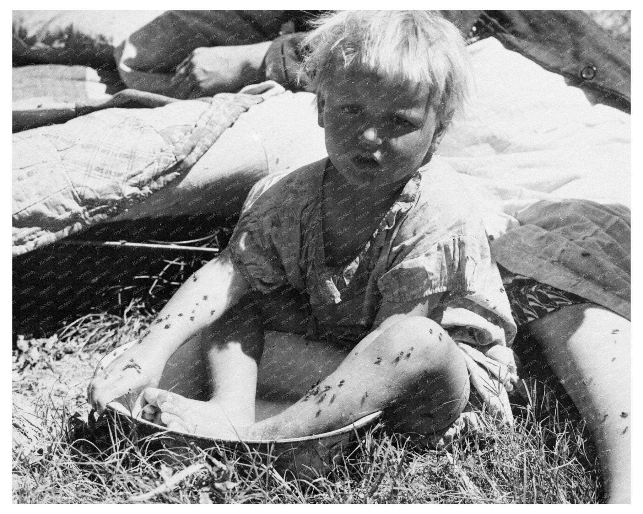 Oklahoma Refugees Camping in Imperial Valley California April 1935 Vintage Image - Available at KNOWOL