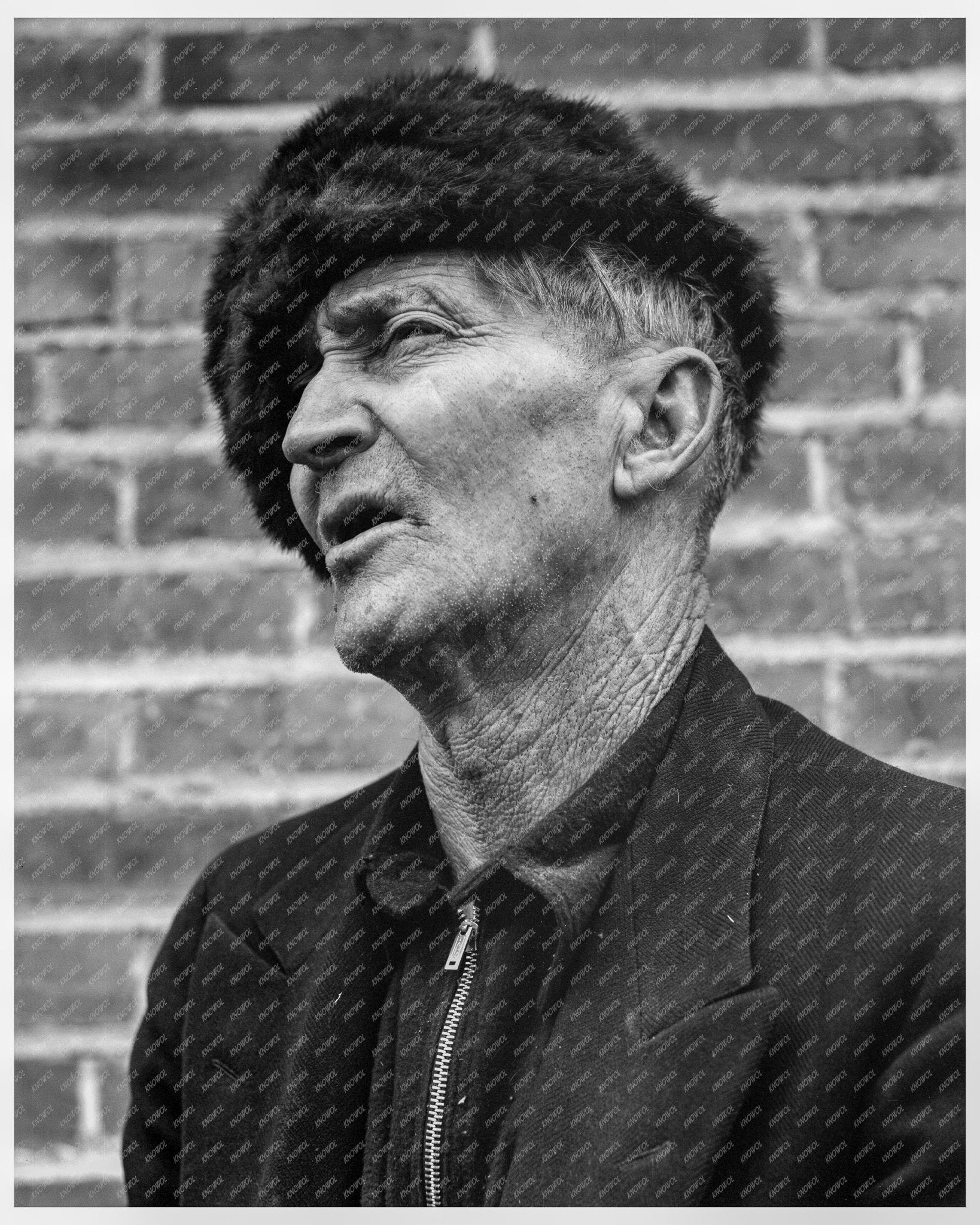 Rancher in Klamath Basin Oregon Opposes Potato Farming October 1939 Vintage Photo - Available at KNOWOL