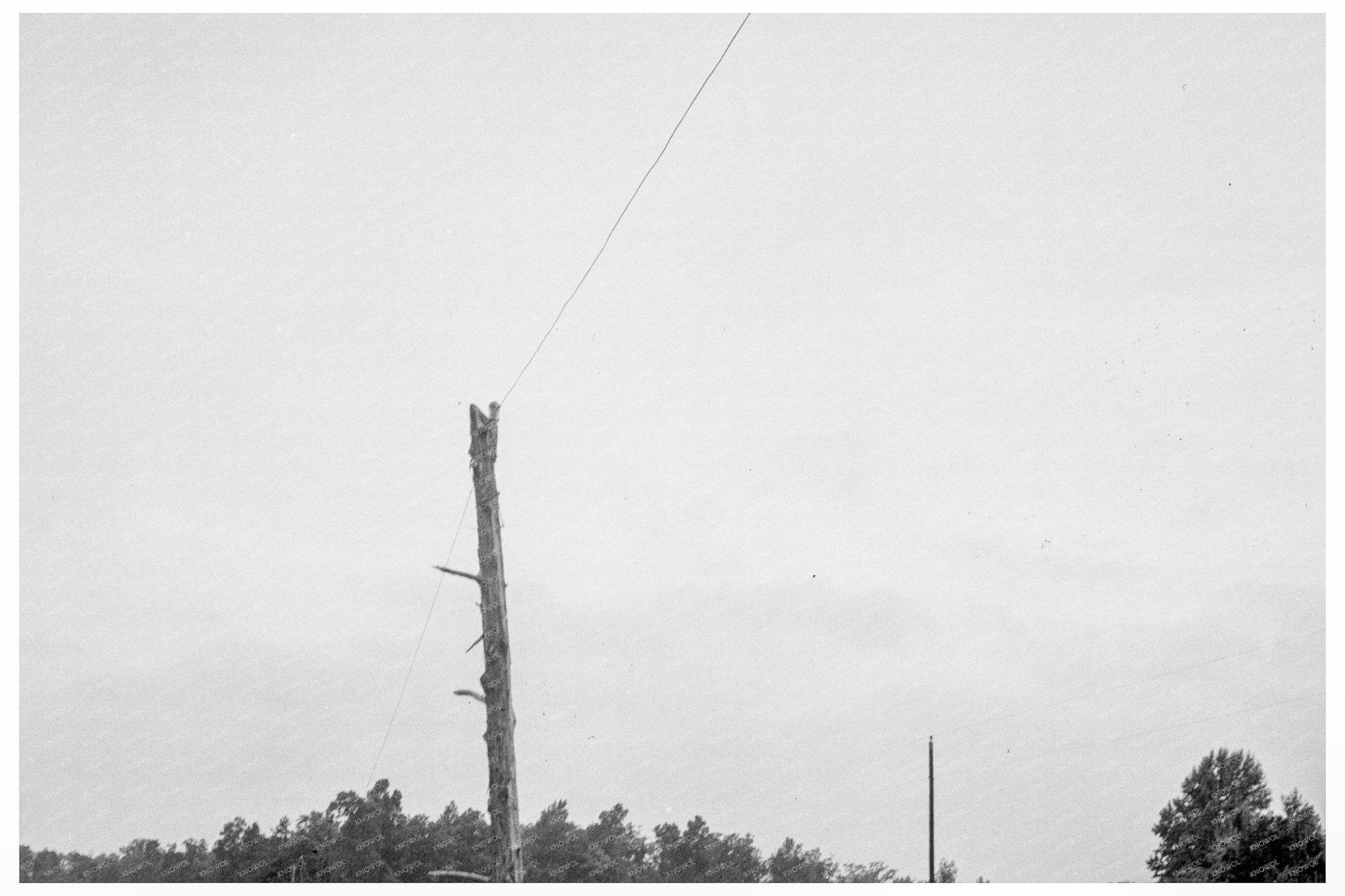 Route 501 North Carolina Vintage Photo July 5 1939 - Available at KNOWOL