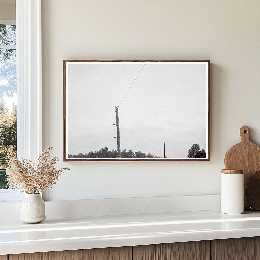 Route 501 North Carolina Vintage Photo July 5 1939 - Available at KNOWOL