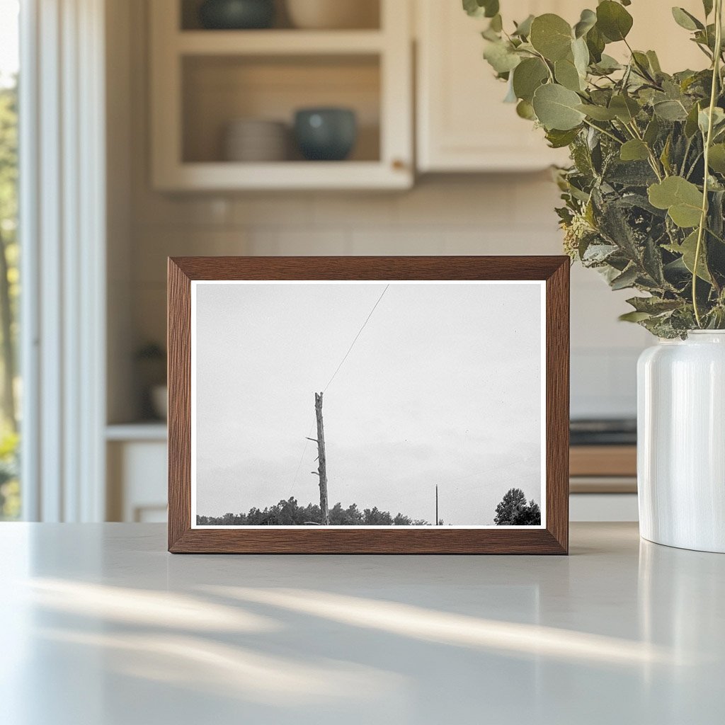 Route 501 North Carolina Vintage Photo July 5 1939 - Available at KNOWOL