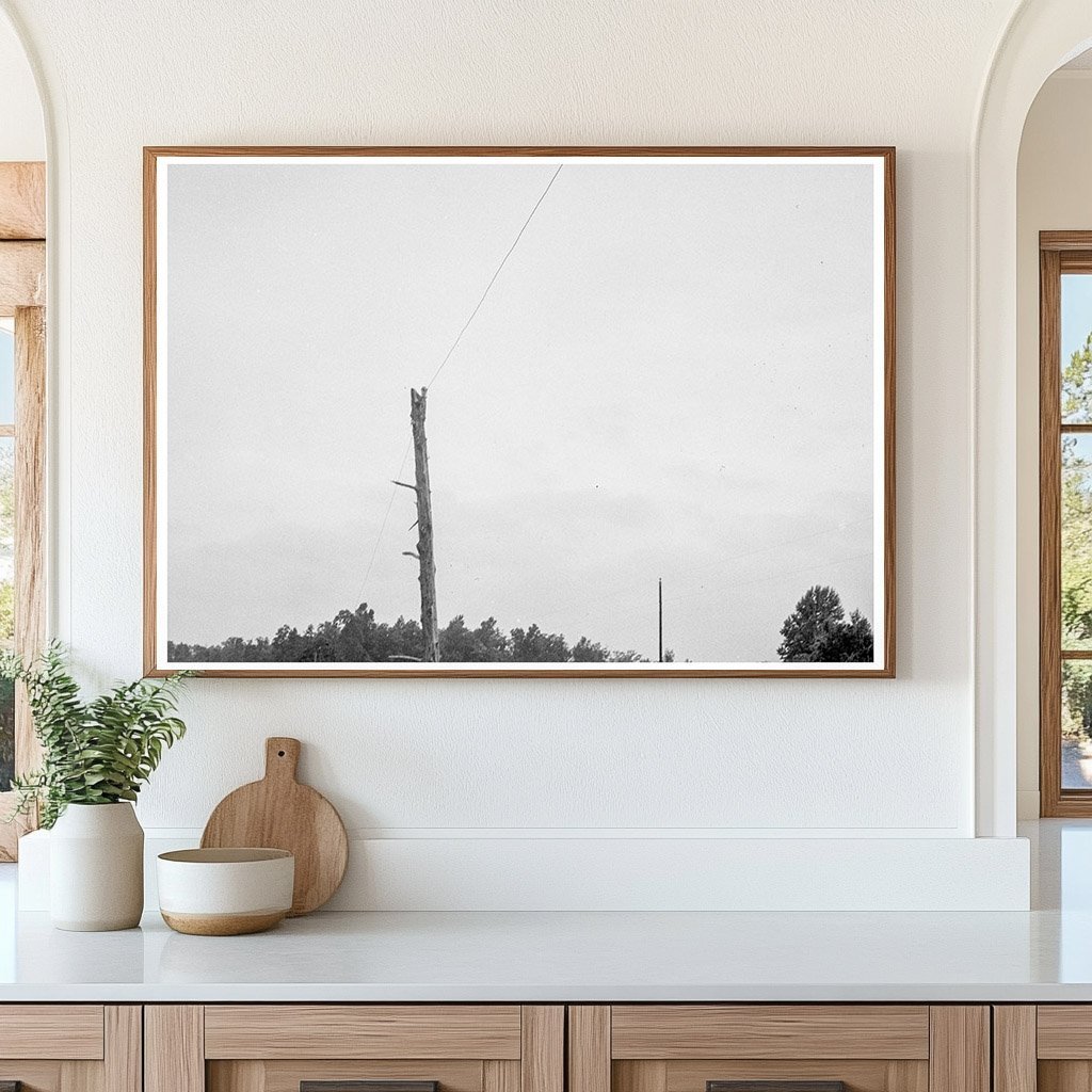 Route 501 North Carolina Vintage Photo July 5 1939 - Available at KNOWOL