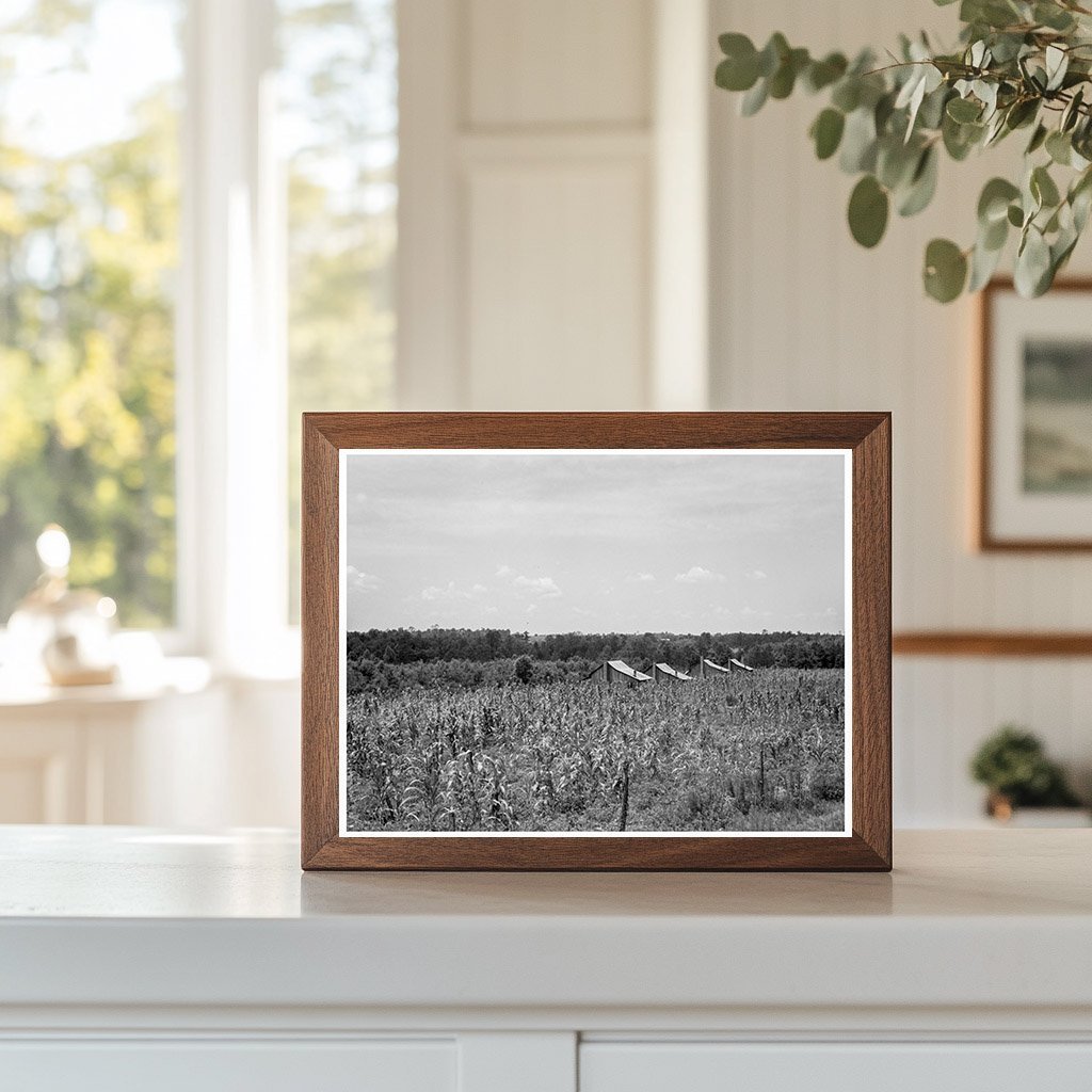 Rural Cabins in South Georgia 1937 - Available at KNOWOL