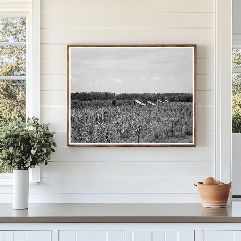 Rural Cabins in South Georgia 1937 - Available at KNOWOL