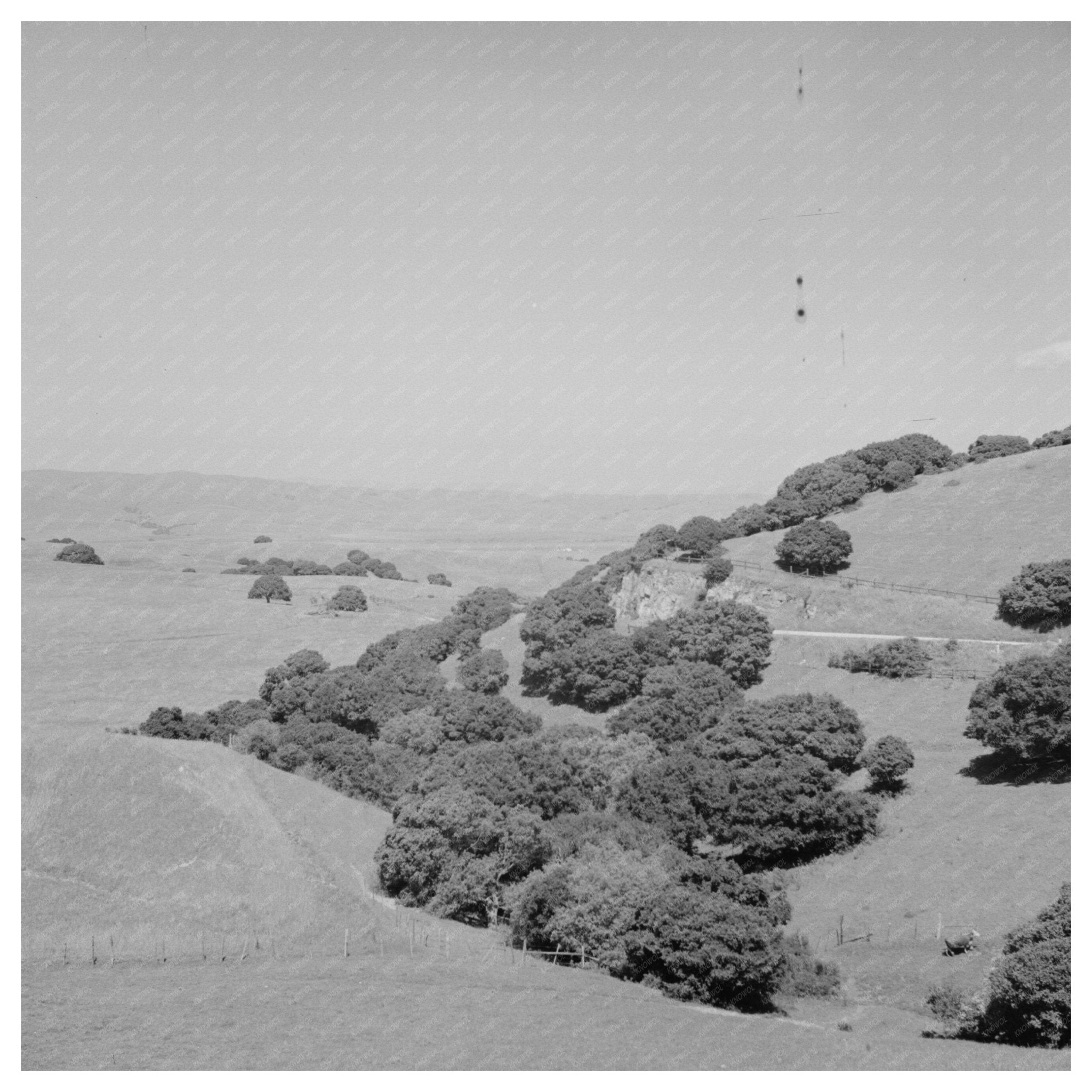 San Benito County California Hills May 1942 Vintage Image - Available at KNOWOL
