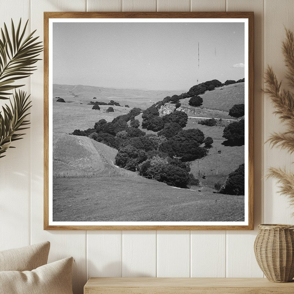 San Benito County California Hills Vintage Photo May 1942 - Available at KNOWOL