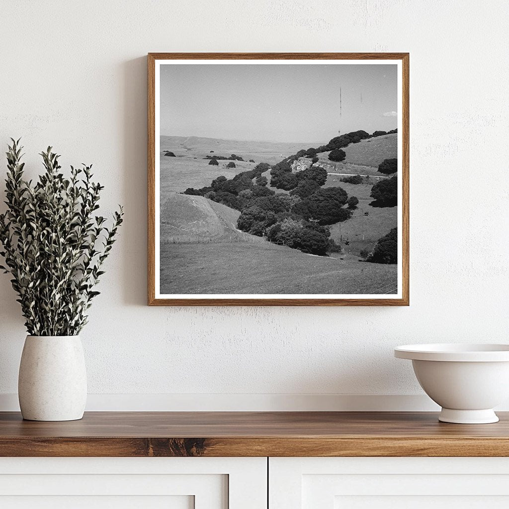 San Benito County California Hills Vintage Photo May 1942 - Available at KNOWOL