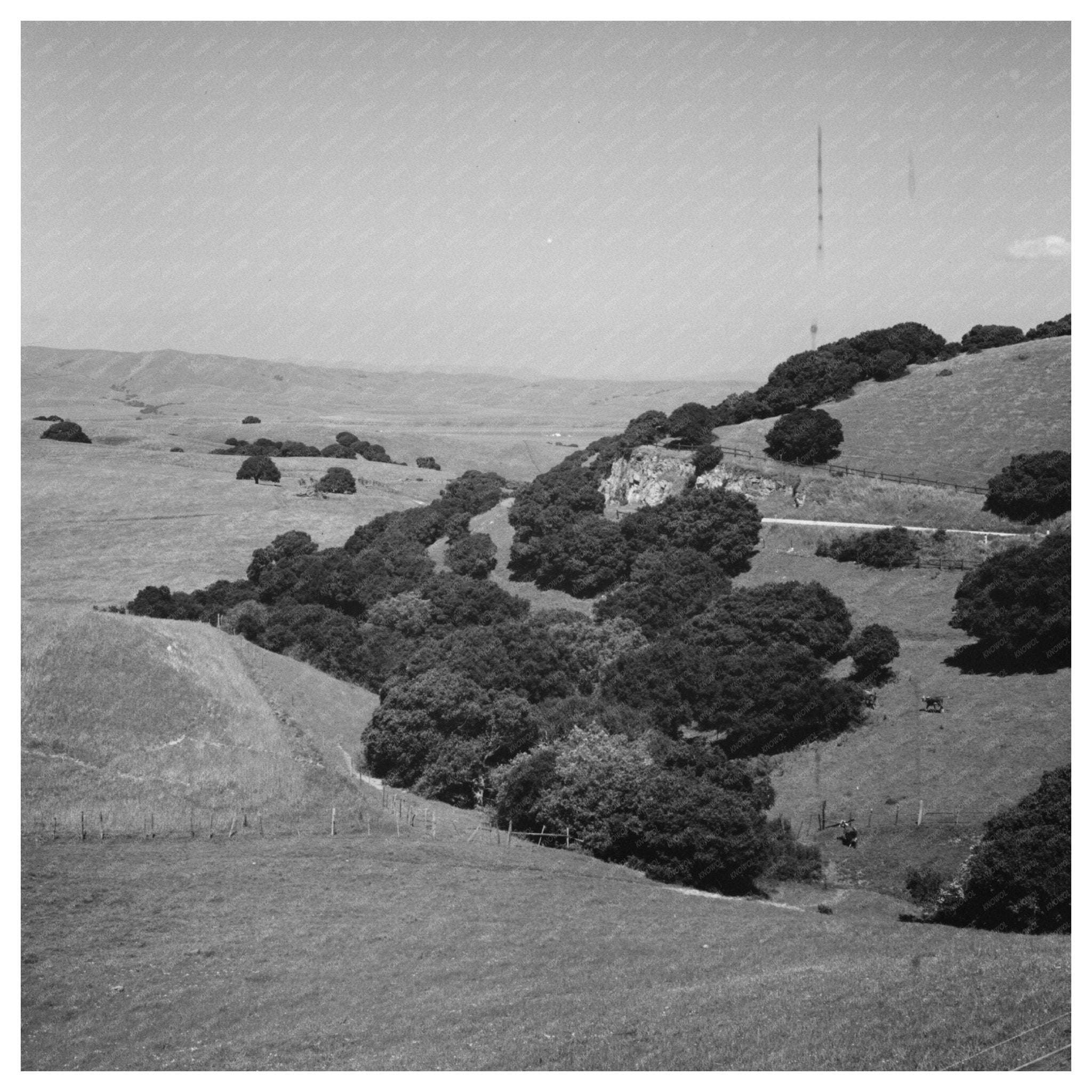 San Benito County California Hills Vintage Photo May 1942 - Available at KNOWOL