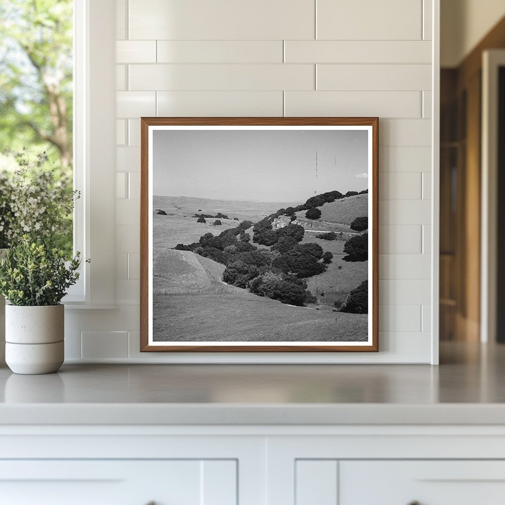 San Benito County California Hills Vintage Photo May 1942 - Available at KNOWOL