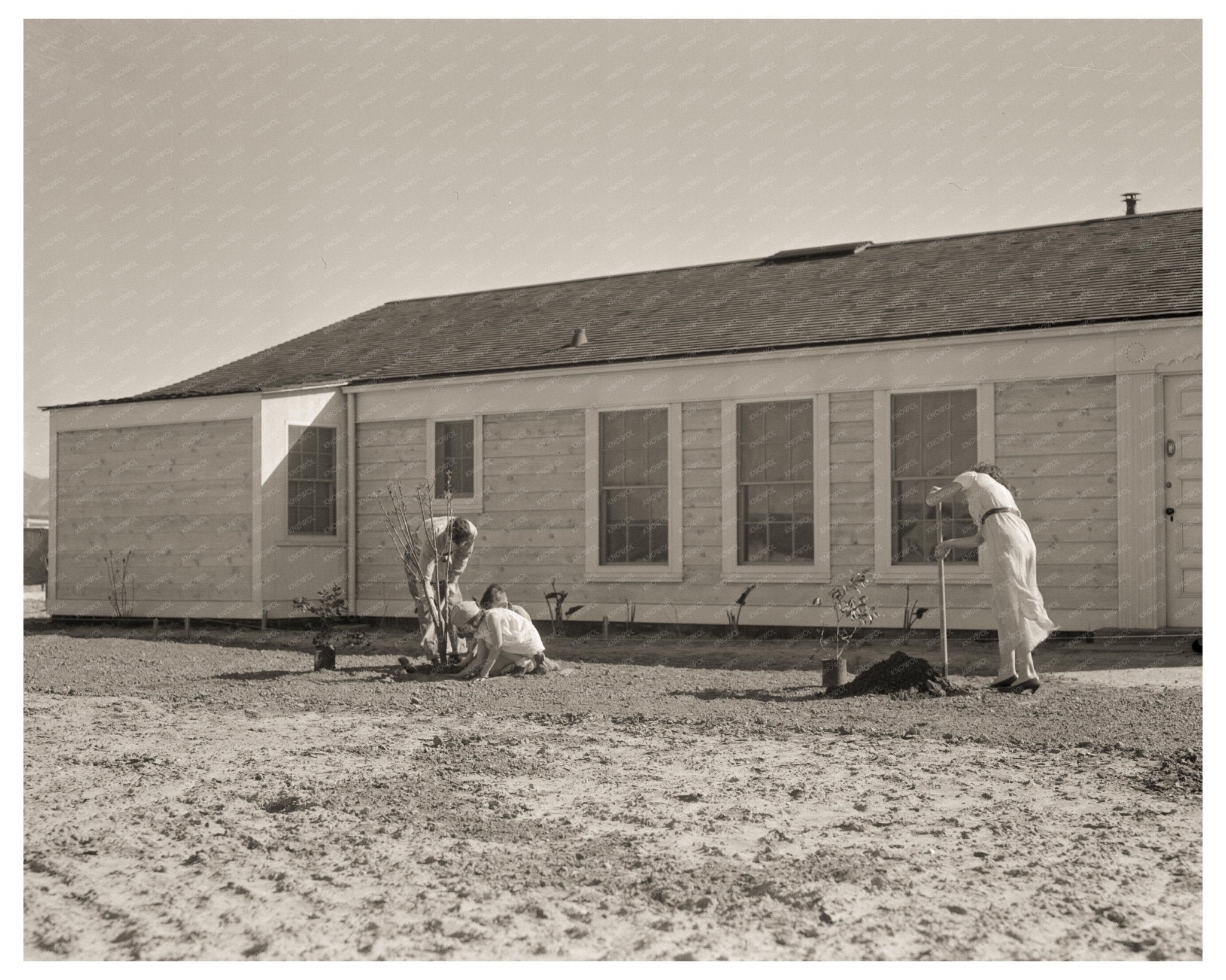 San Fernando Federal Subsistence Homesteads Los Angeles February 1936 Vintage Image - Available at KNOWOL