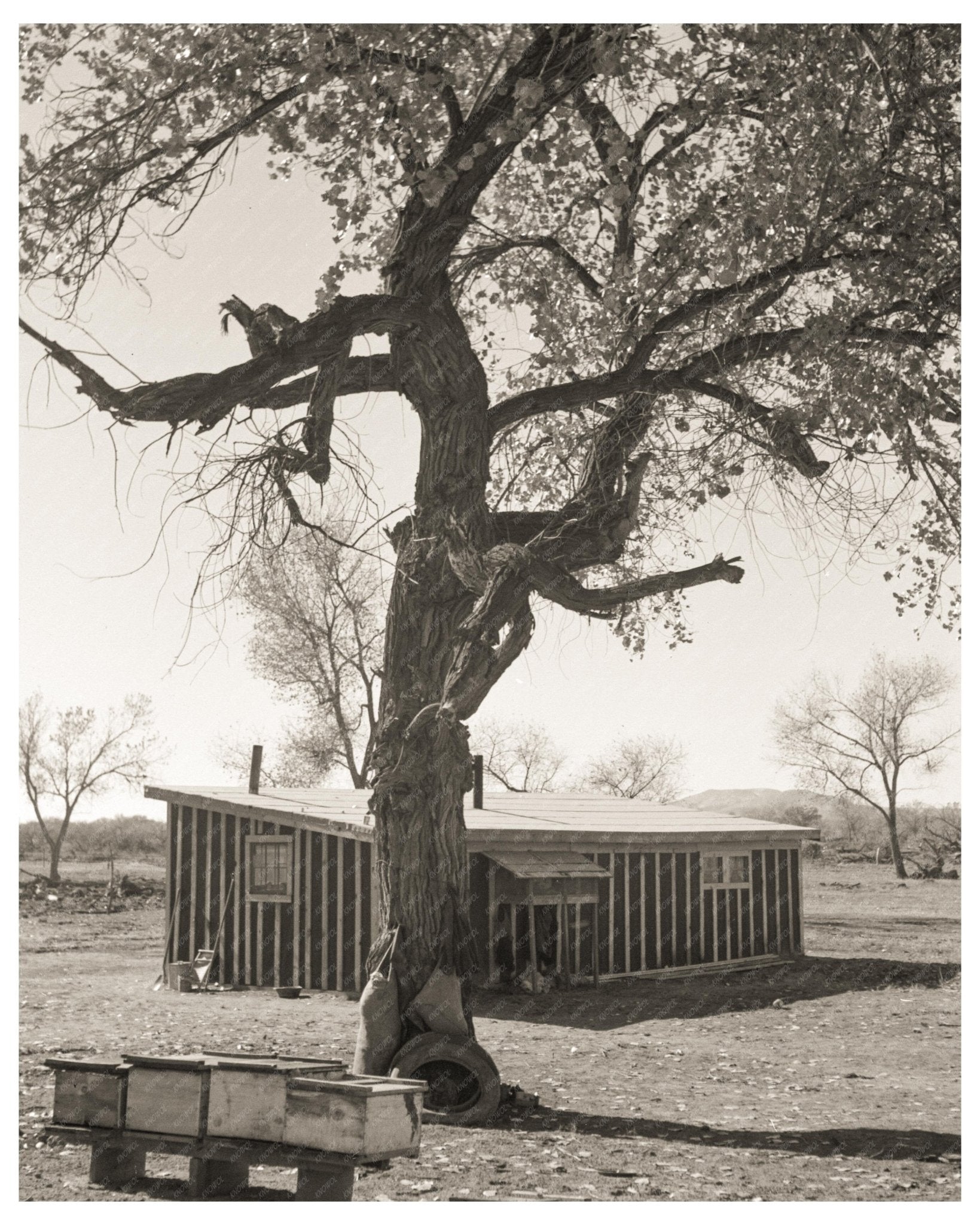 Temporary Home Structures for Barns Bosque Farms New Mexico December 1935 Vintage Image - Available at KNOWOL