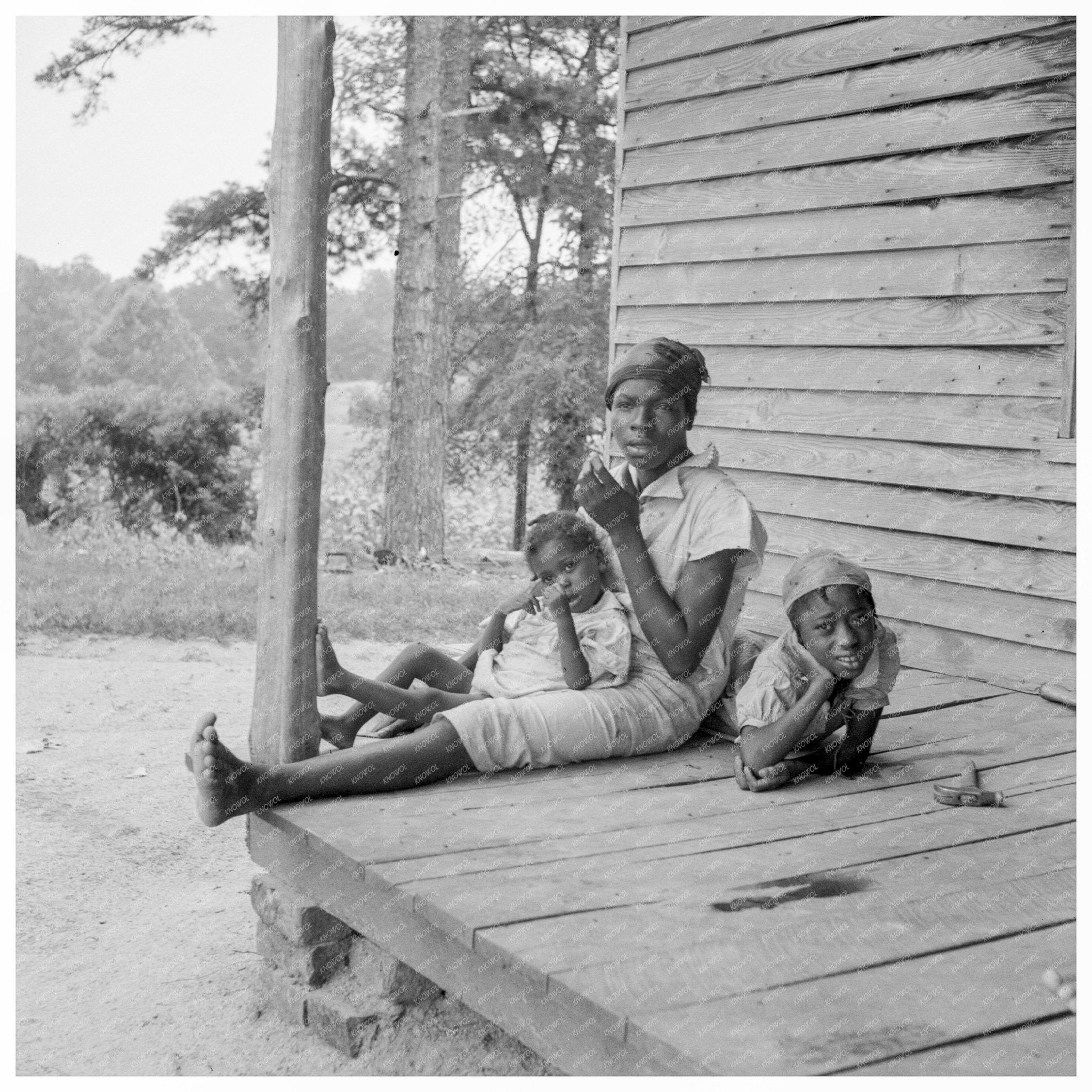 Tobacco Sharecroppers Daughter Collecting Eggs 1939 - Available at KNOWOL