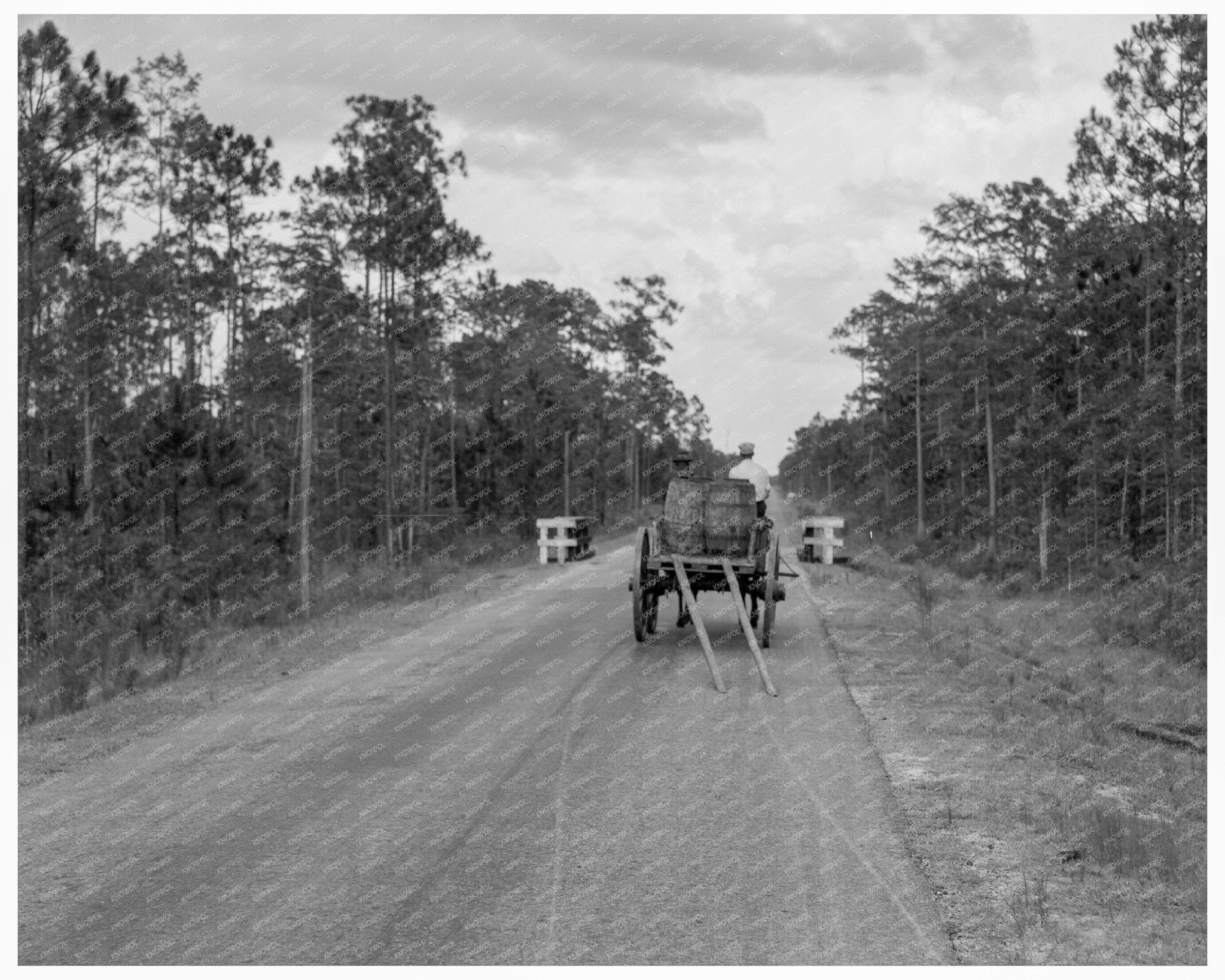 Turpentine Wagon Georgia July 1937 Vintage Photo - Available at KNOWOL