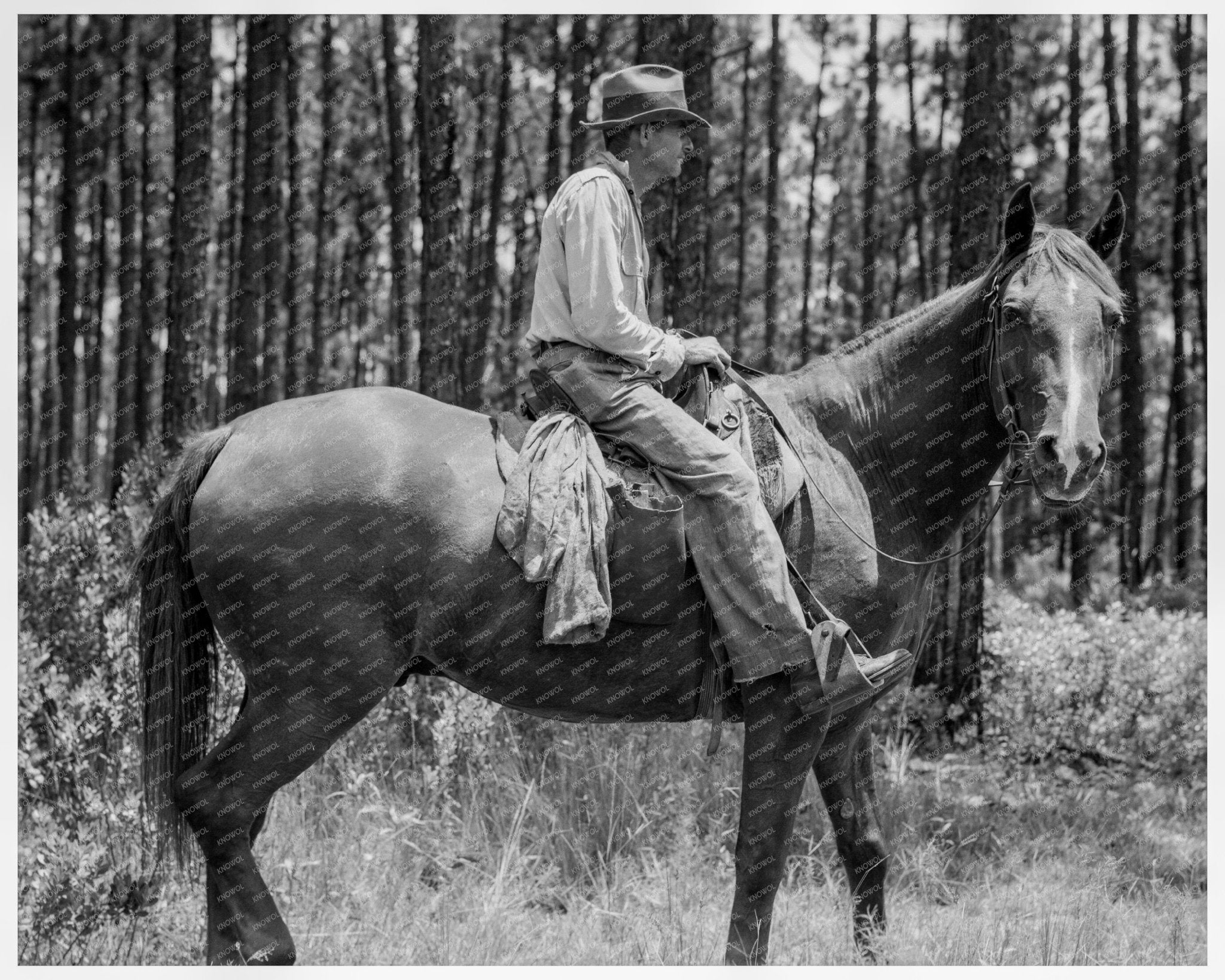 Turpentine Woods Overseer Georgia 1937 Vintage Photo - Available at KNOWOL