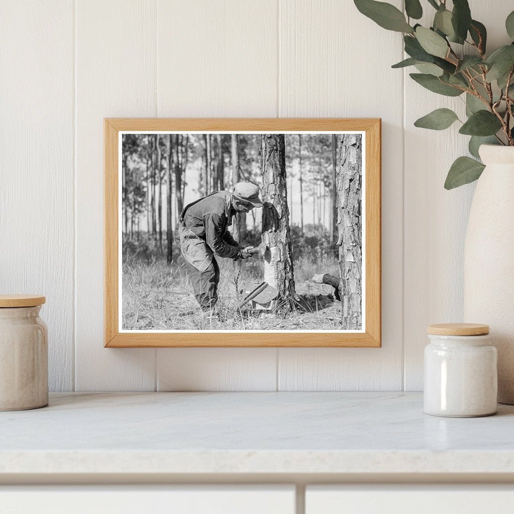 Turpentine Worker in Georgia 1937 Vintage Photograph - Available at KNOWOL