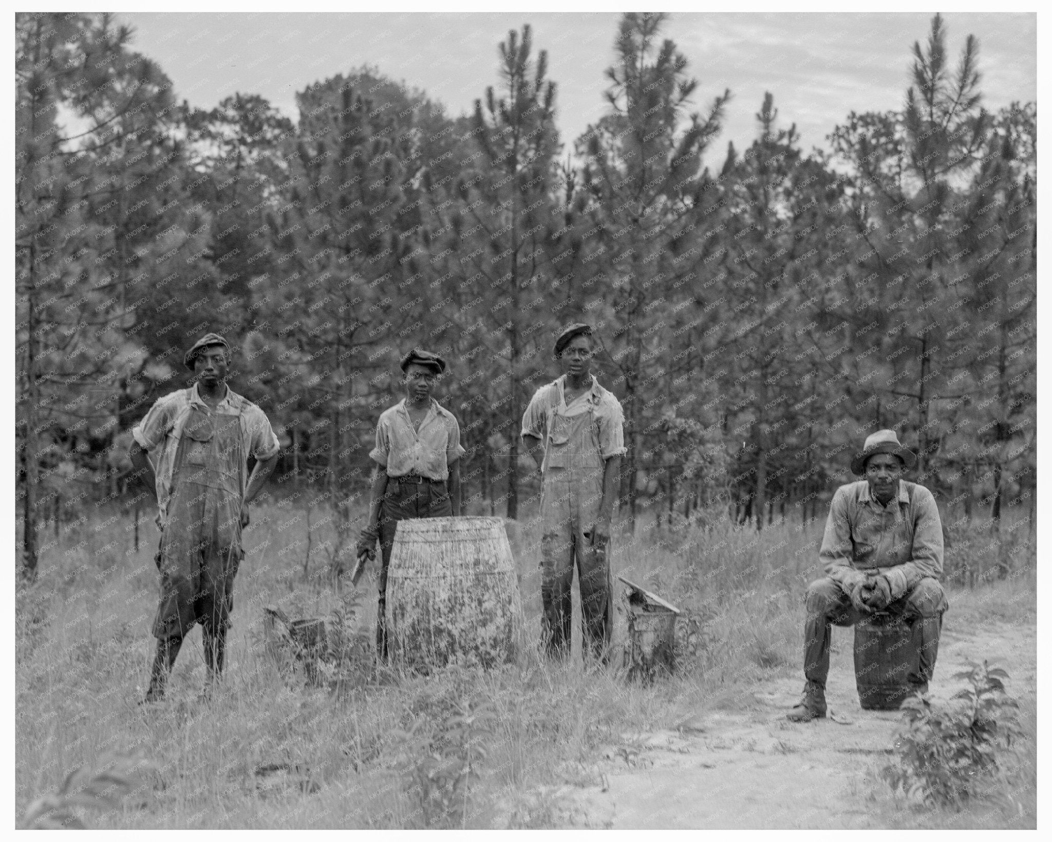 Turpentine Workers in Georgia July 1937 Vintage Photo - Available at KNOWOL