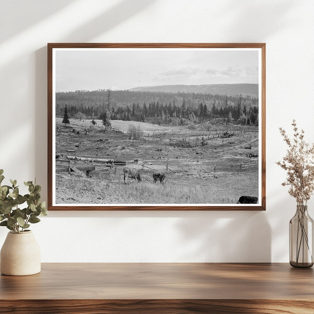 Unruf Farm Boundary County Idaho Garden October 1939 - Available at KNOWOL