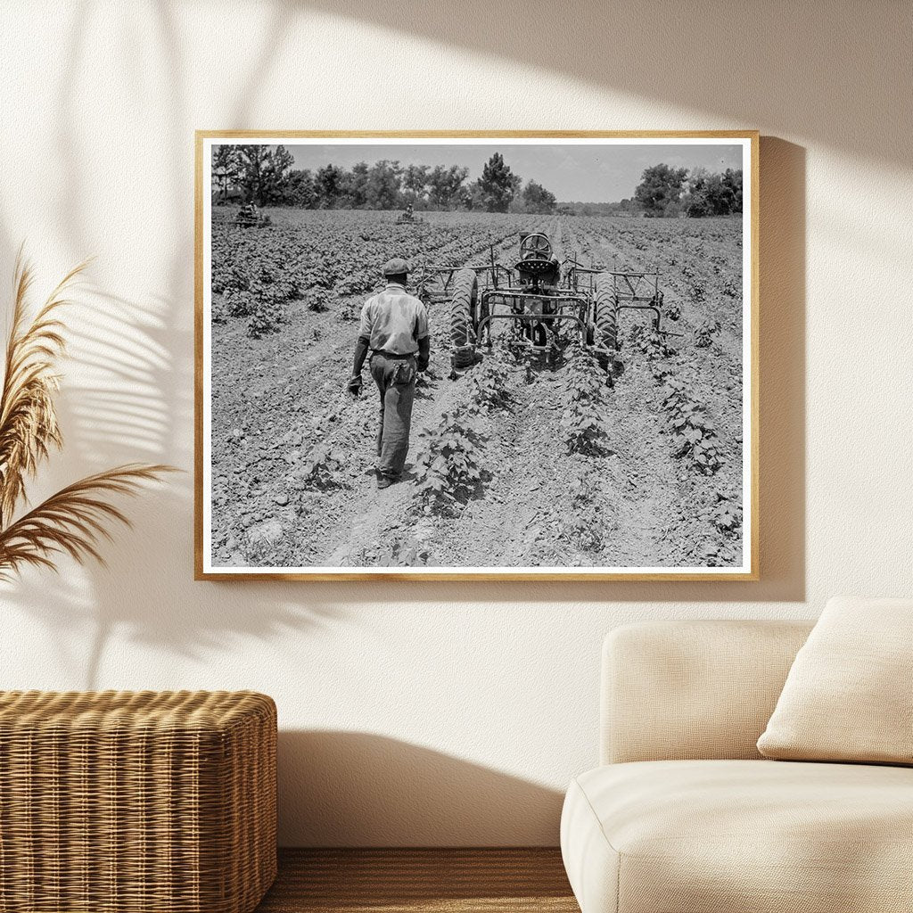 Vintage 1937 Photo of Young Tractor Operators in Mississippi - Available at KNOWOL