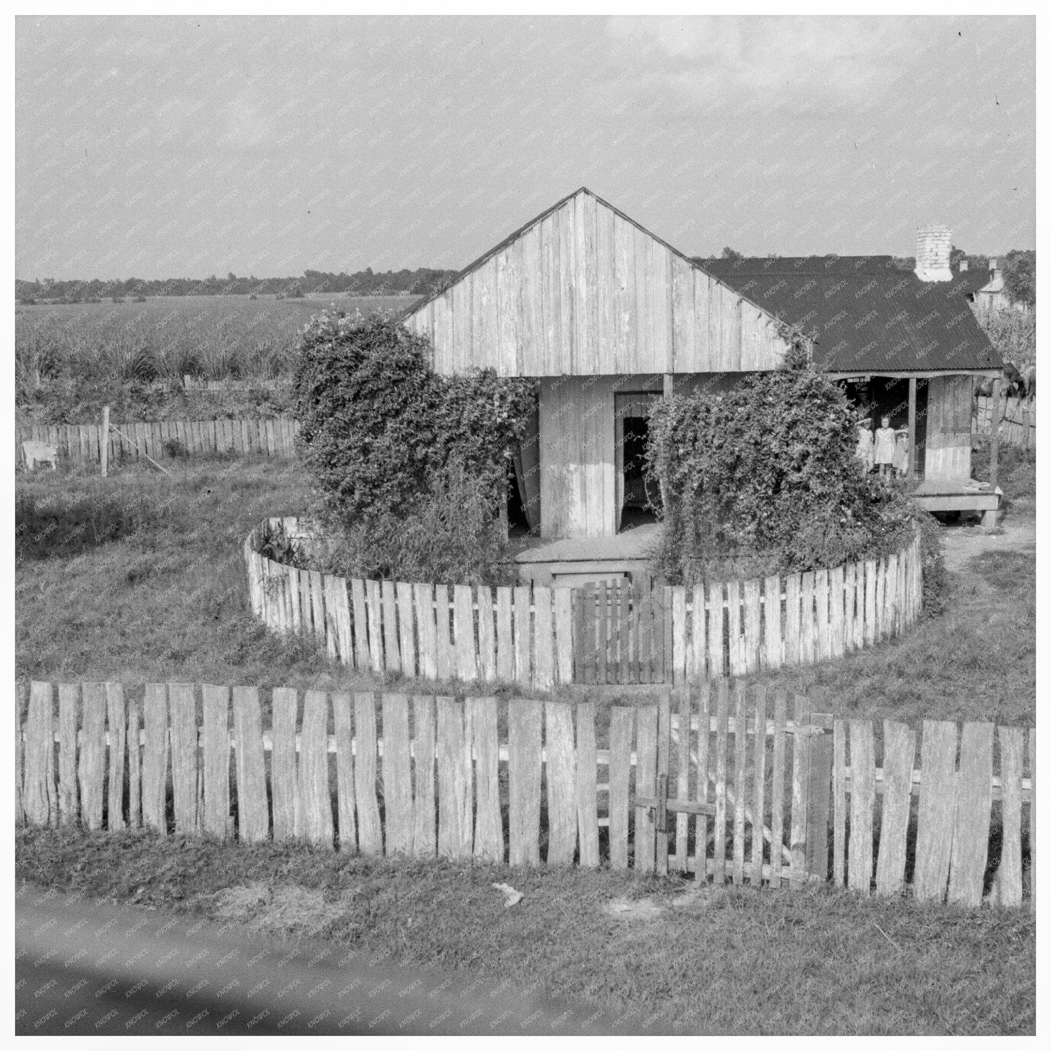 Vintage 1937 Sugarcane Worker Cabin in Louisiana - Available at KNOWOL