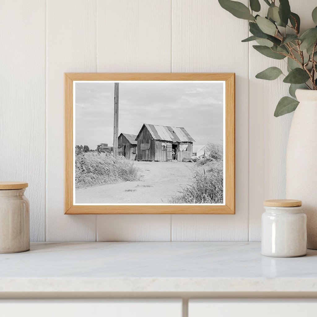 Vintage 1938 Photo of Arizona Migrant Worker Home - Available at KNOWOL