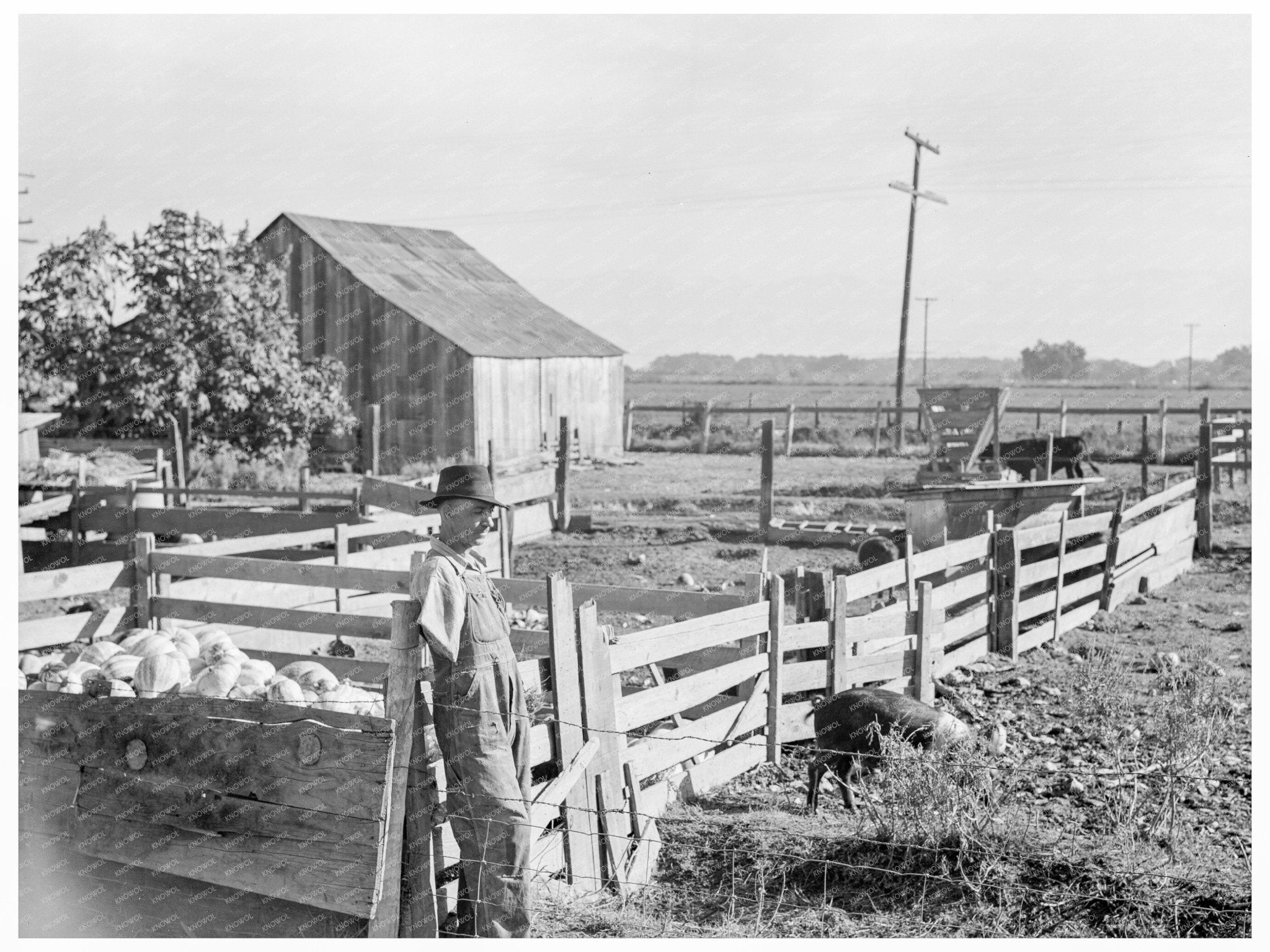 Vintage 1938 Photo of Rural Life in Tulare County California - Available at KNOWOL