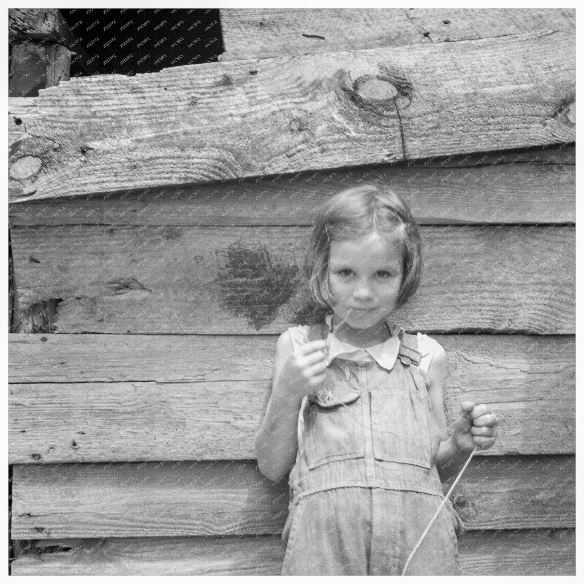 Vintage 1939 Girl Caring for Baby in Tobacco Barn - Available at KNOWOL