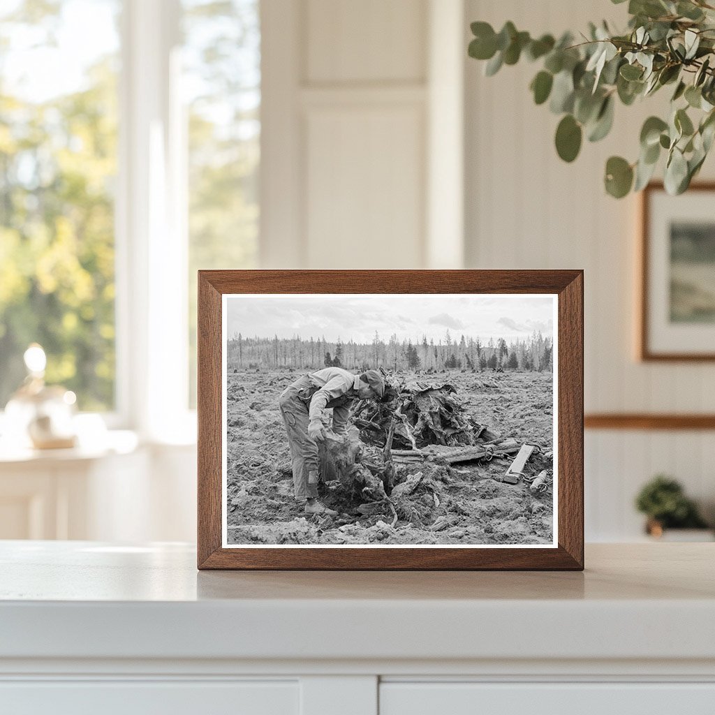 Vintage 1939 Idaho Lumber Mill Worker Clearing Field - Available at KNOWOL