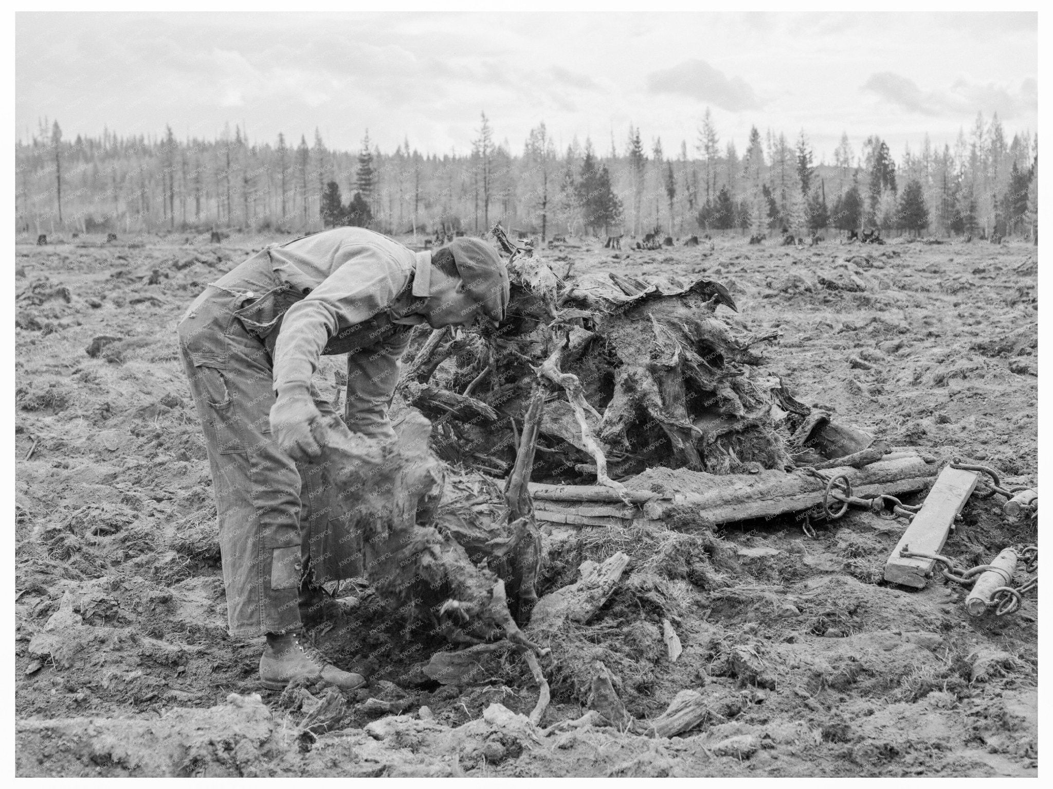 Vintage 1939 Idaho Lumber Mill Worker Clearing Field - Available at KNOWOL