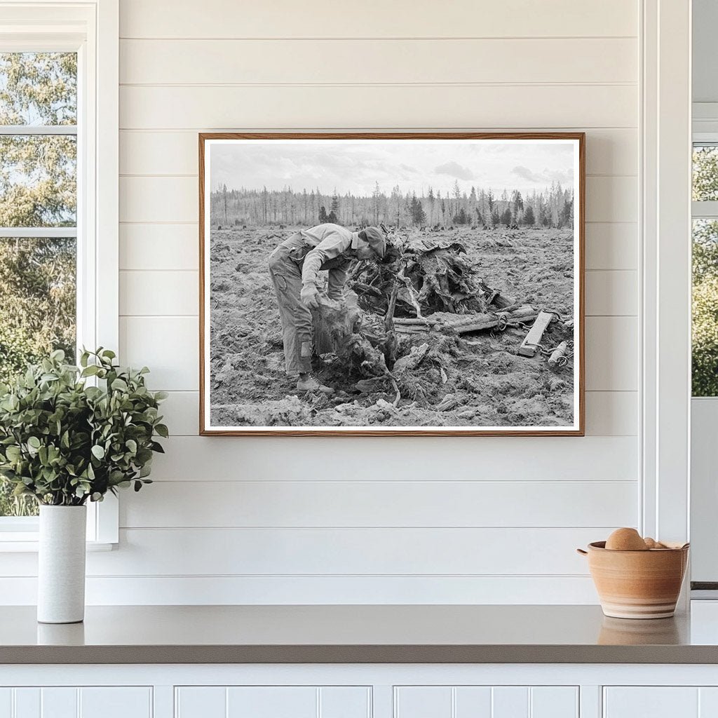Vintage 1939 Idaho Lumber Mill Worker Clearing Field - Available at KNOWOL
