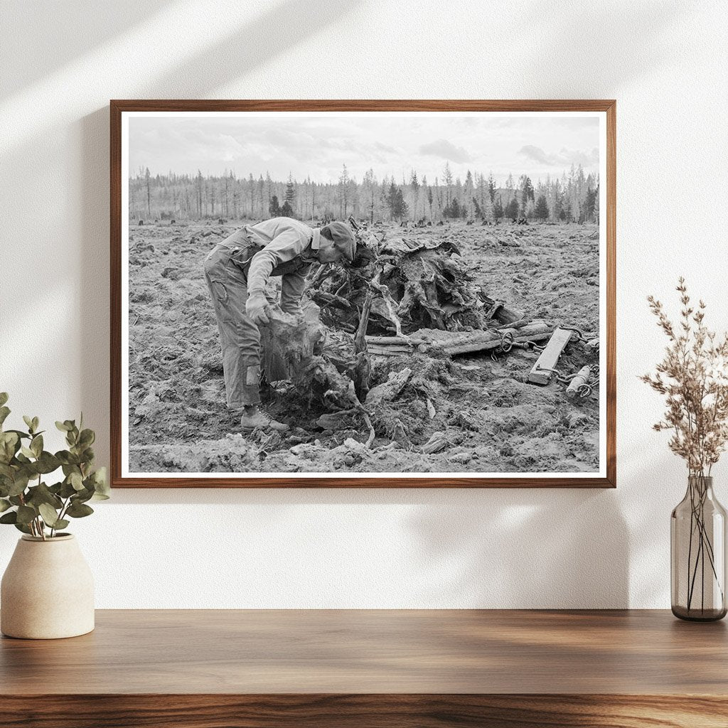 Vintage 1939 Idaho Lumber Mill Worker Clearing Field - Available at KNOWOL