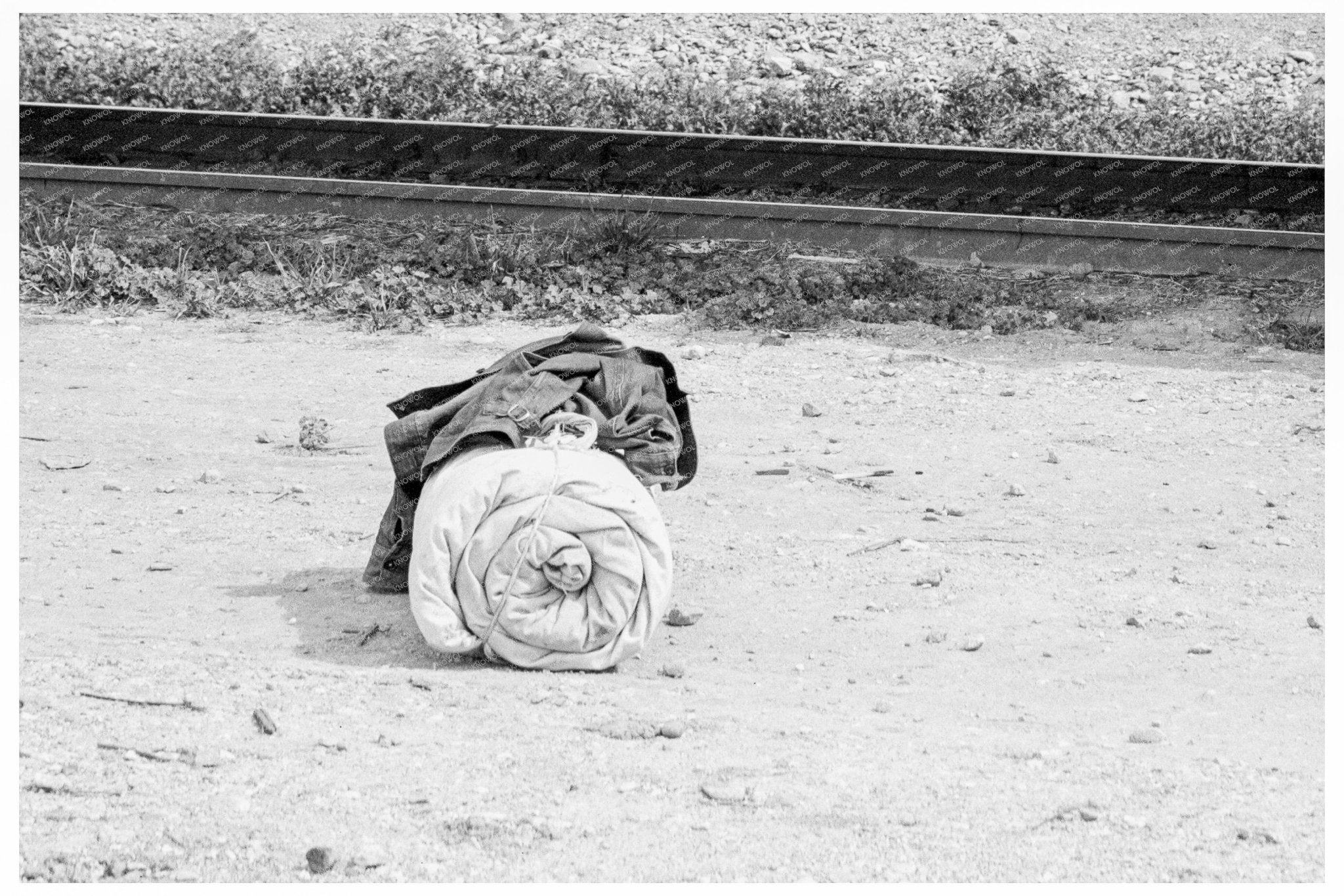 Vintage 1939 Photo of Worker Near Pea Packing Plant California - Available at KNOWOL