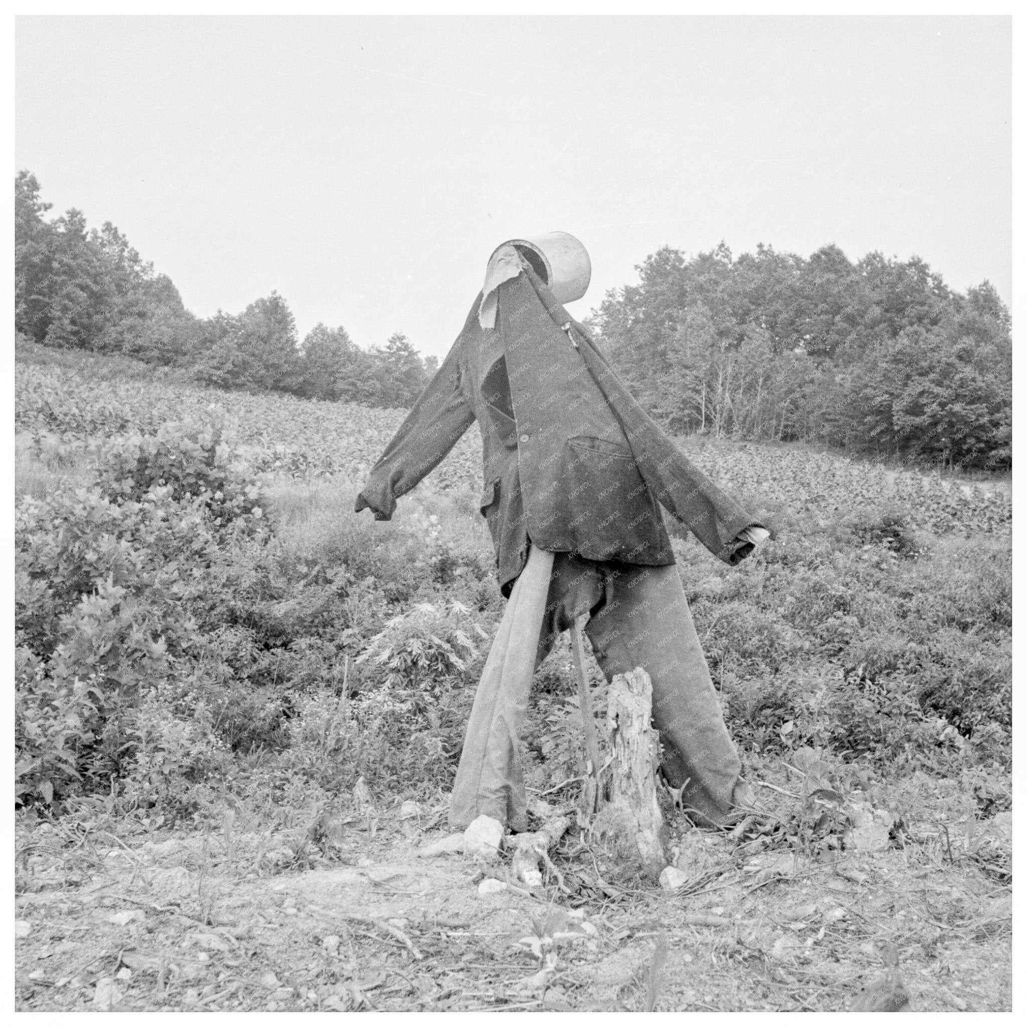 Vintage 1939 Scarecrow in Roxboro North Carolina Field - Available at KNOWOL