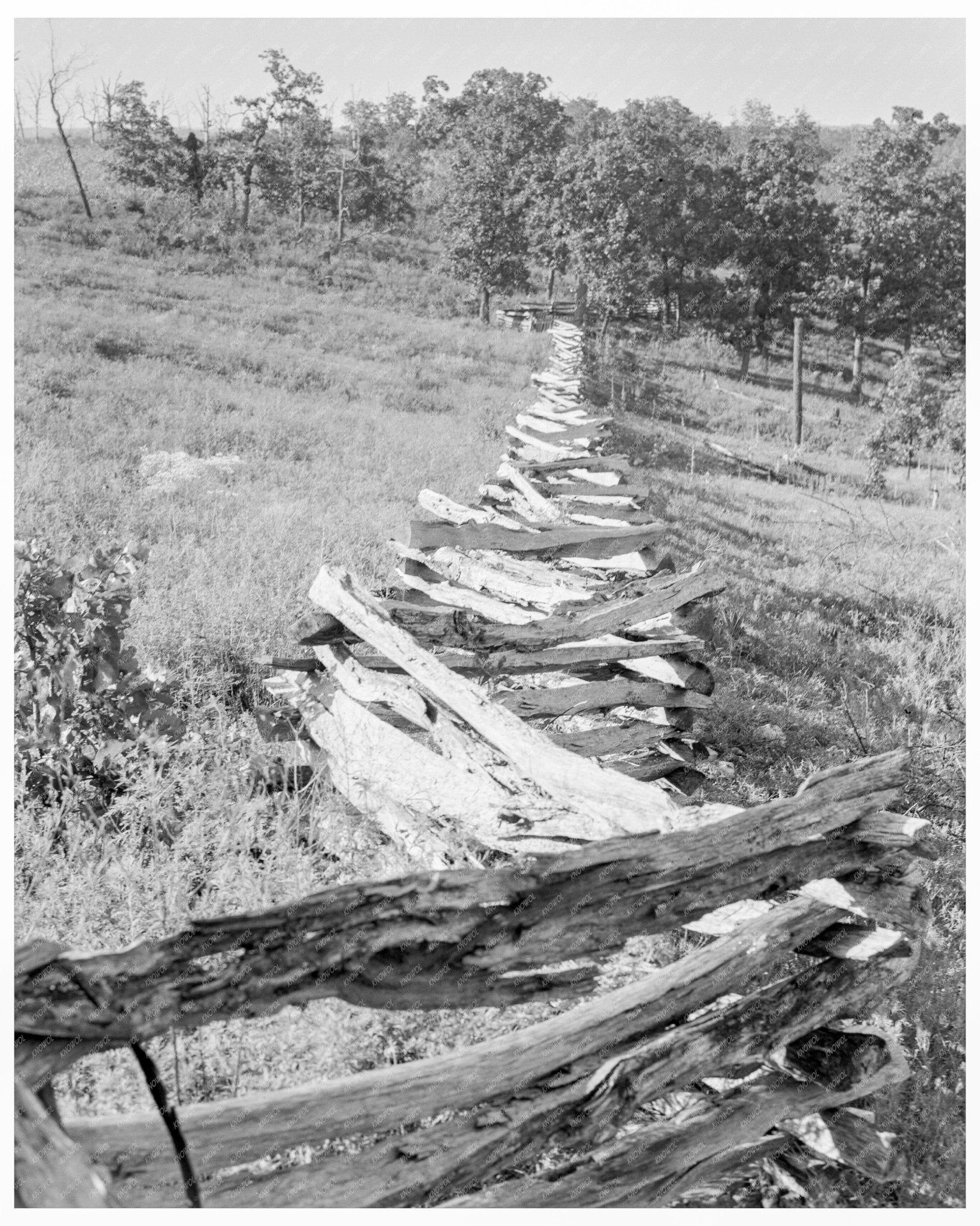 Vintage August 1938 Photograph of Split - Log Fence in North Central Arkansas - Available at KNOWOL