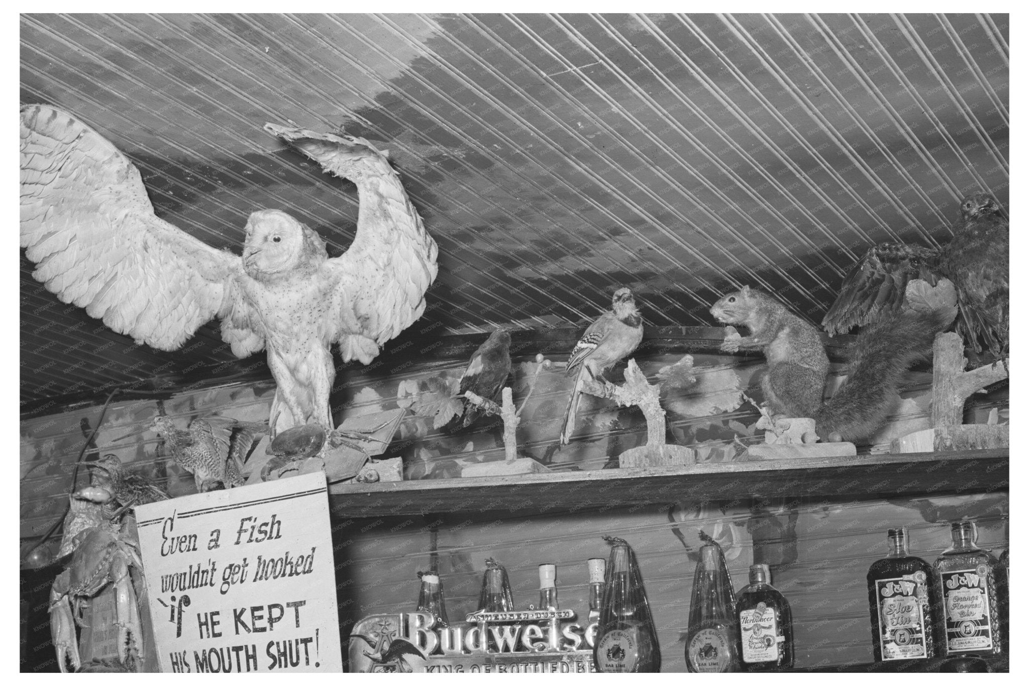 Vintage Barroom Decor with Stuffed Animals Raceland 1938 - Available at KNOWOL