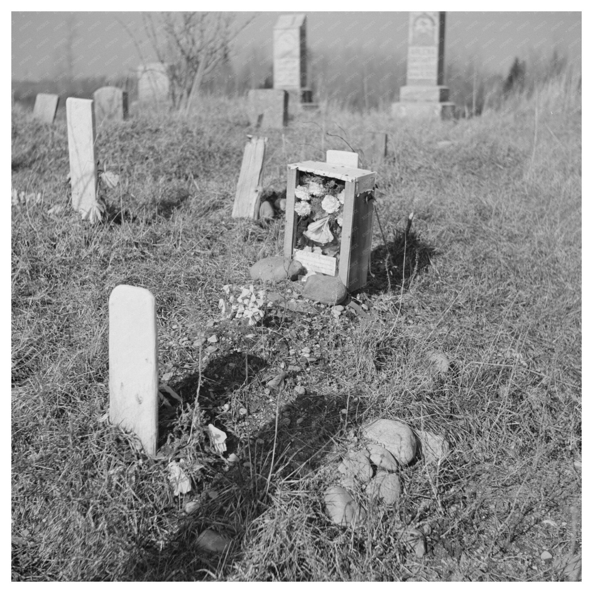 Vintage Cemetery Gravestones Florence County Wisconsin 1937 - Available at KNOWOL