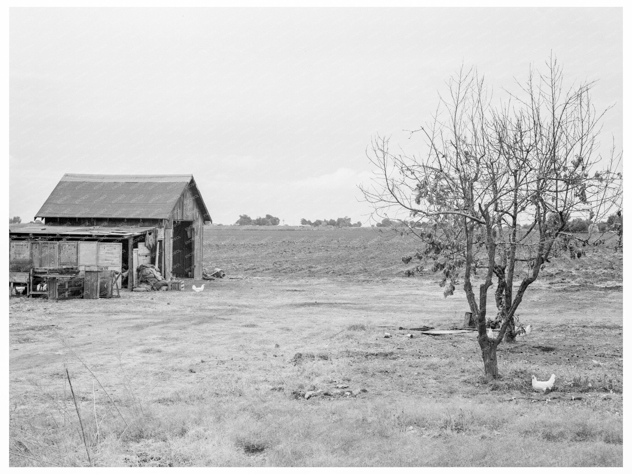 Vintage Farm in Kern County California 1938 - Available at KNOWOL