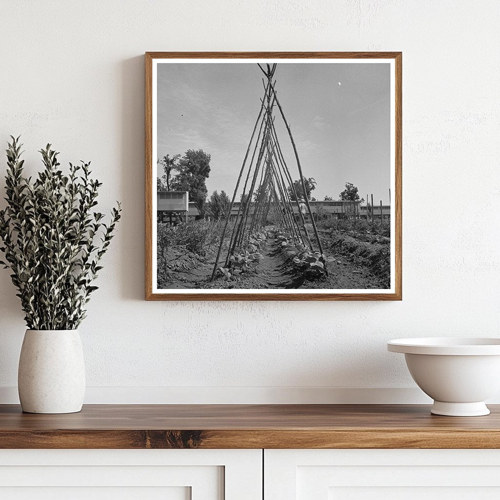 Vintage Farm Workers Yuba City California June 1942 - Available at KNOWOL