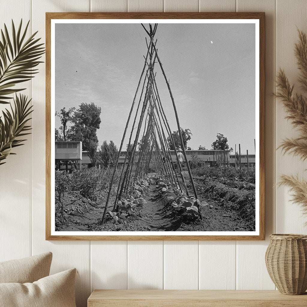 Vintage Farm Workers Yuba City California June 1942 - Available at KNOWOL