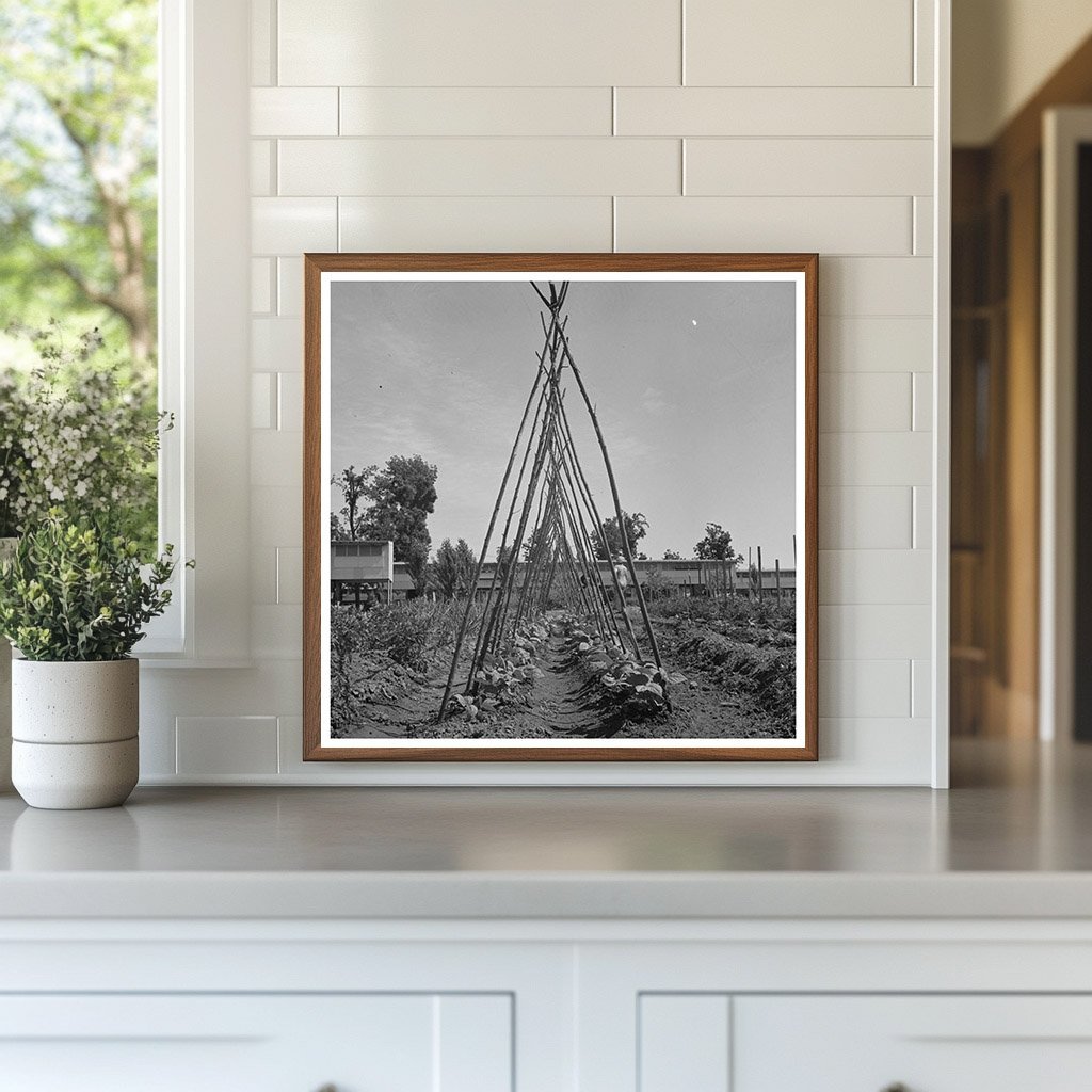 Vintage Farm Workers Yuba City California June 1942 - Available at KNOWOL