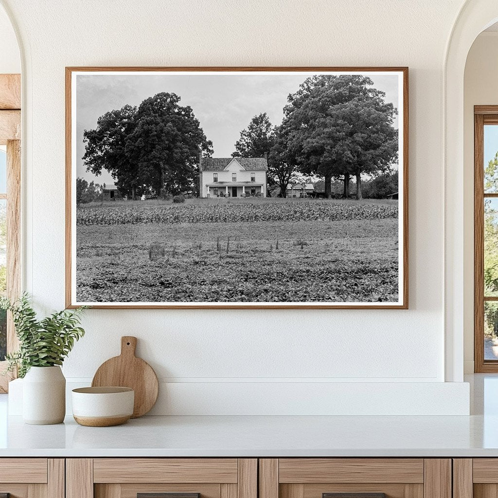 Vintage Farmers House in Colbreth North Carolina 1939 - Available at KNOWOL