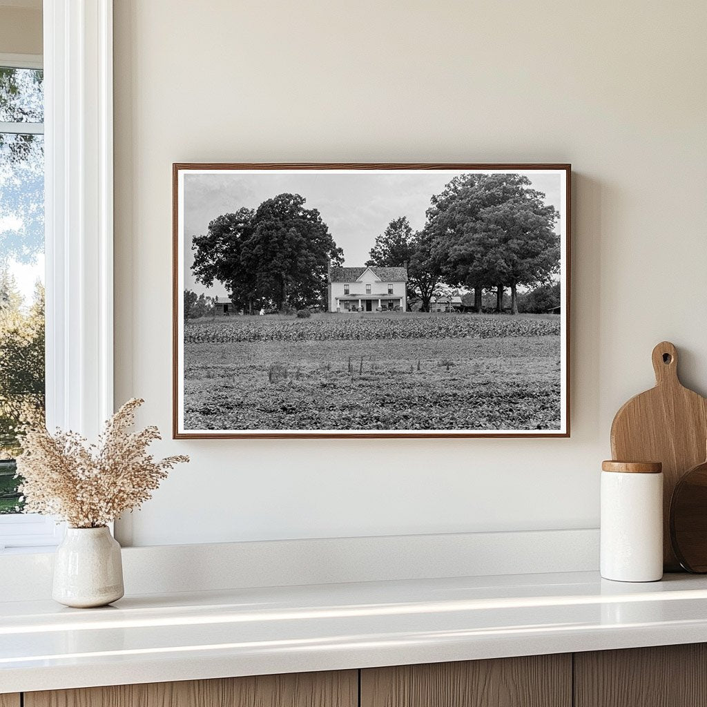 Vintage Farmers House in Colbreth North Carolina 1939 - Available at KNOWOL
