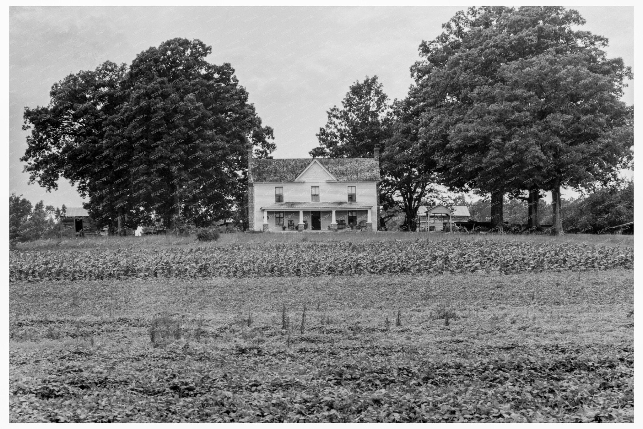 Vintage Farmers House in Colbreth North Carolina 1939 - Available at KNOWOL