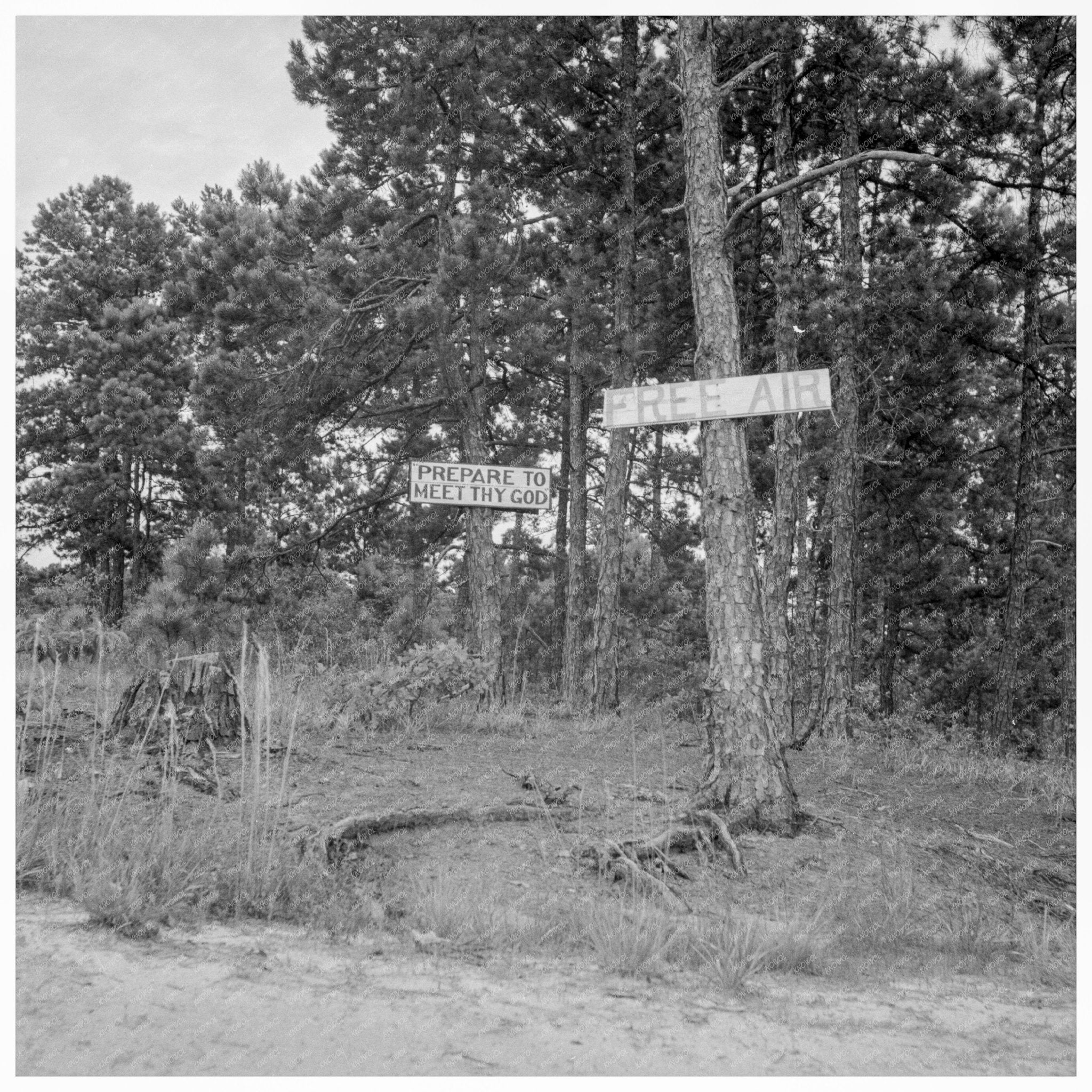 Vintage Georgia Road Sign July 1937 FSA OWI Collection - Available at KNOWOL