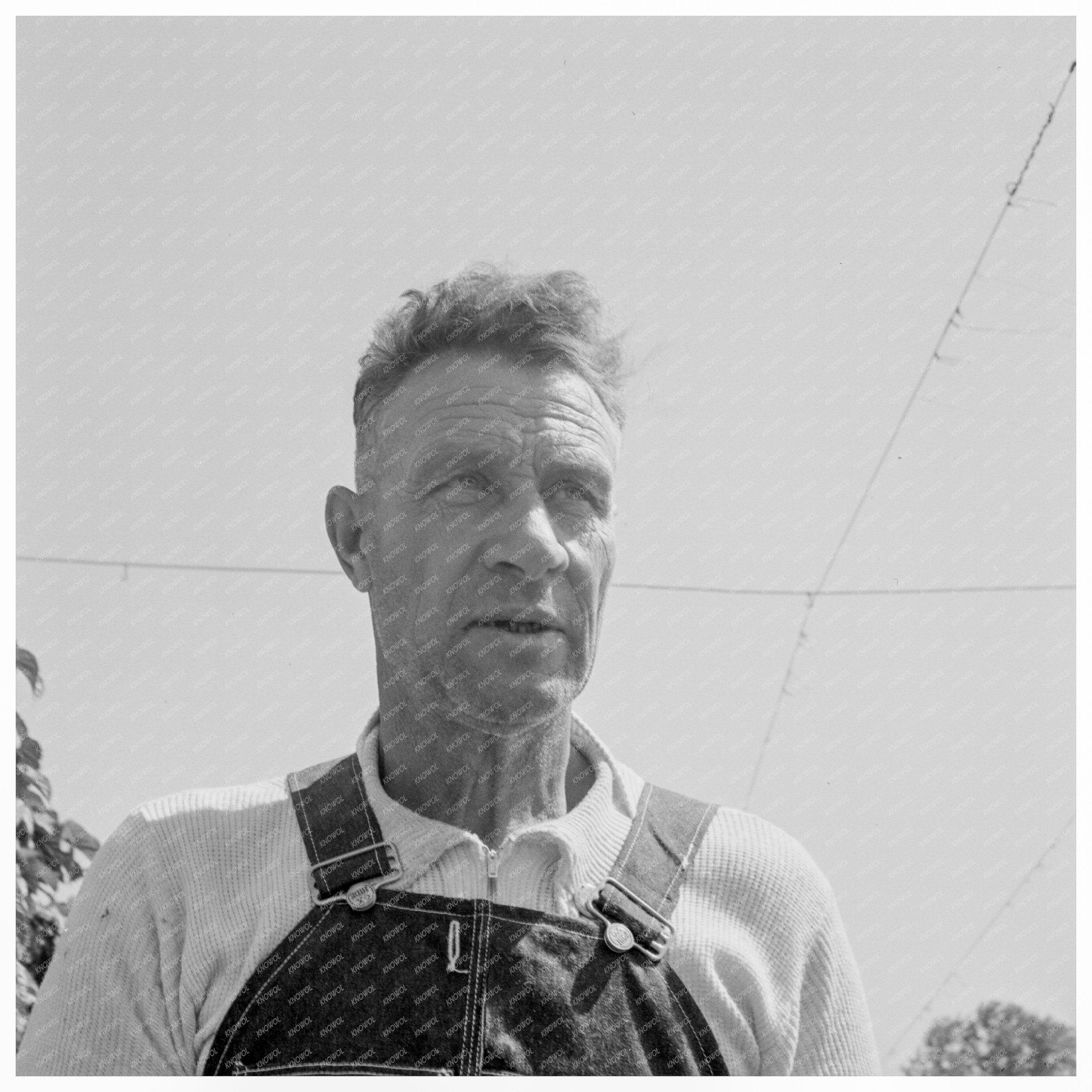 Vintage Hop Picker August 1939 Oregon Great Depression - Available at KNOWOL