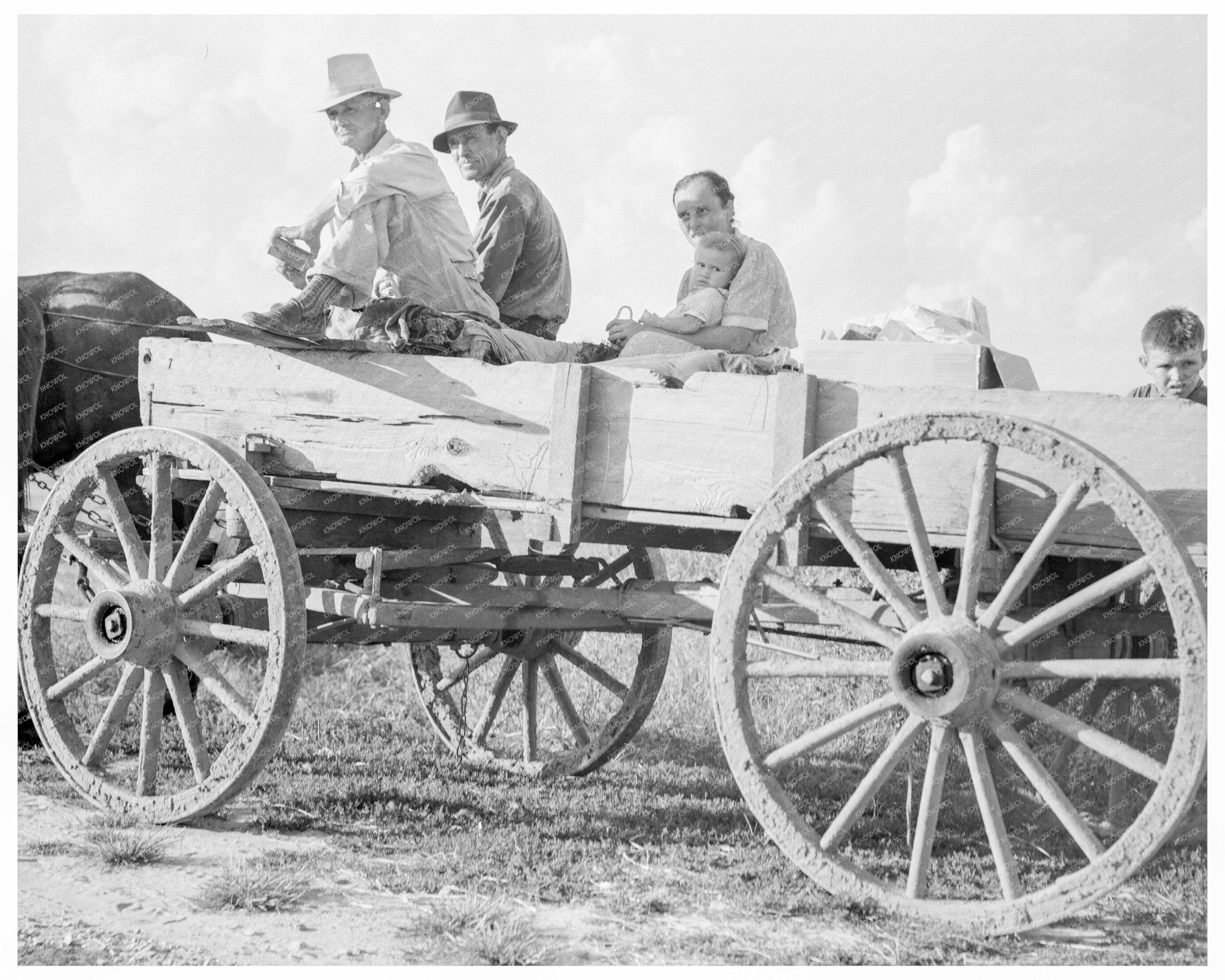 Vintage Horse - Drawn Wagon Family in Missouri 1938 - Available at KNOWOL