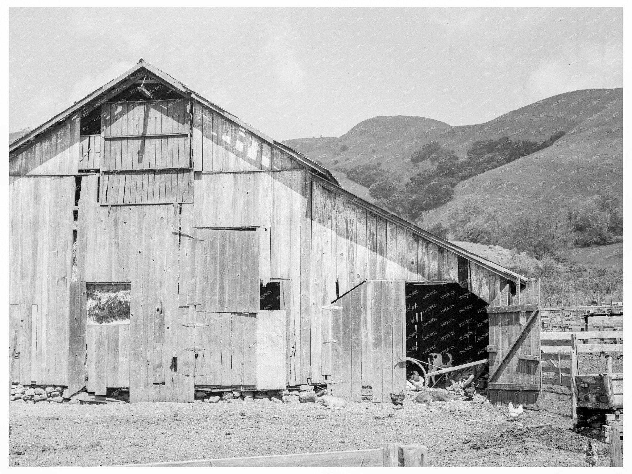 Vintage Italian Farmers Farmyard California 1939 - Available at KNOWOL